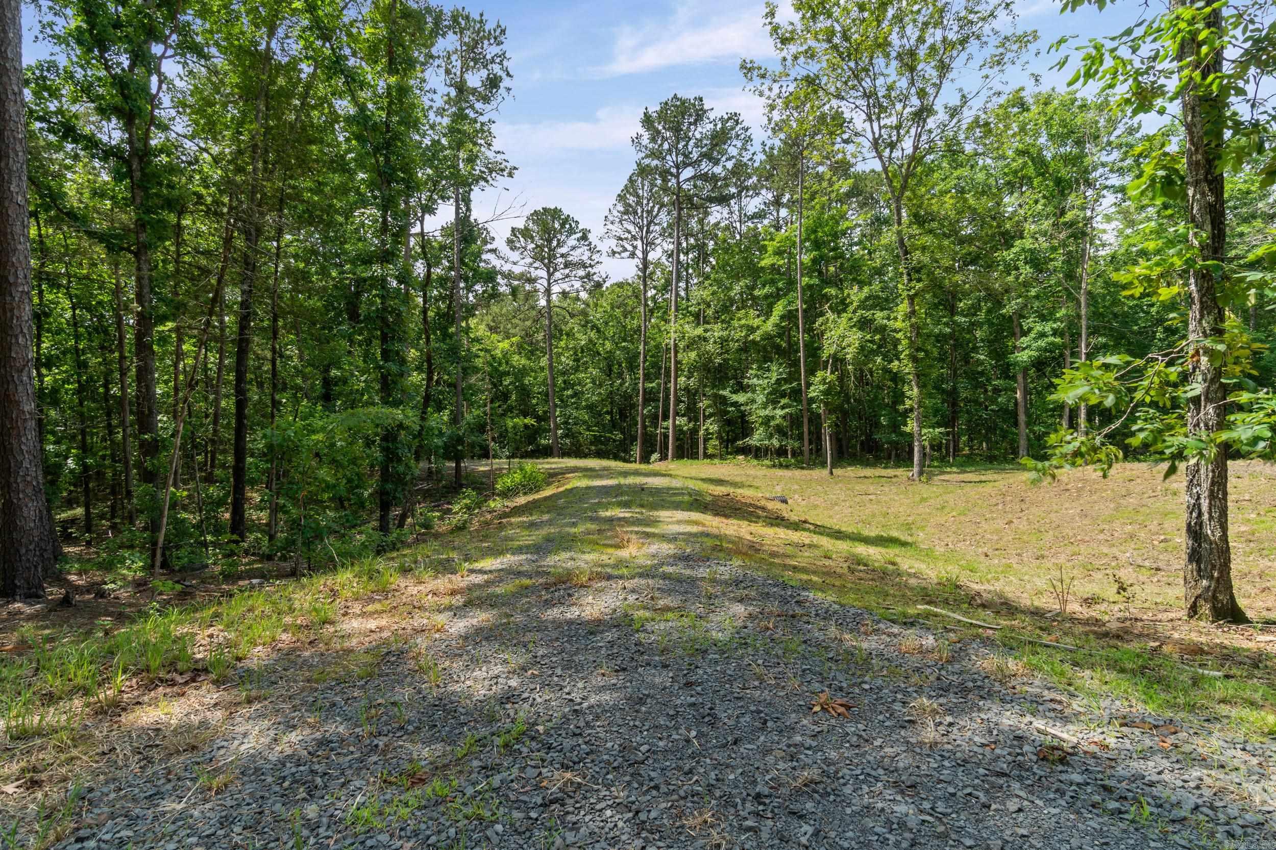 Lots 49-54 Robinhood Trail Property Photo 6