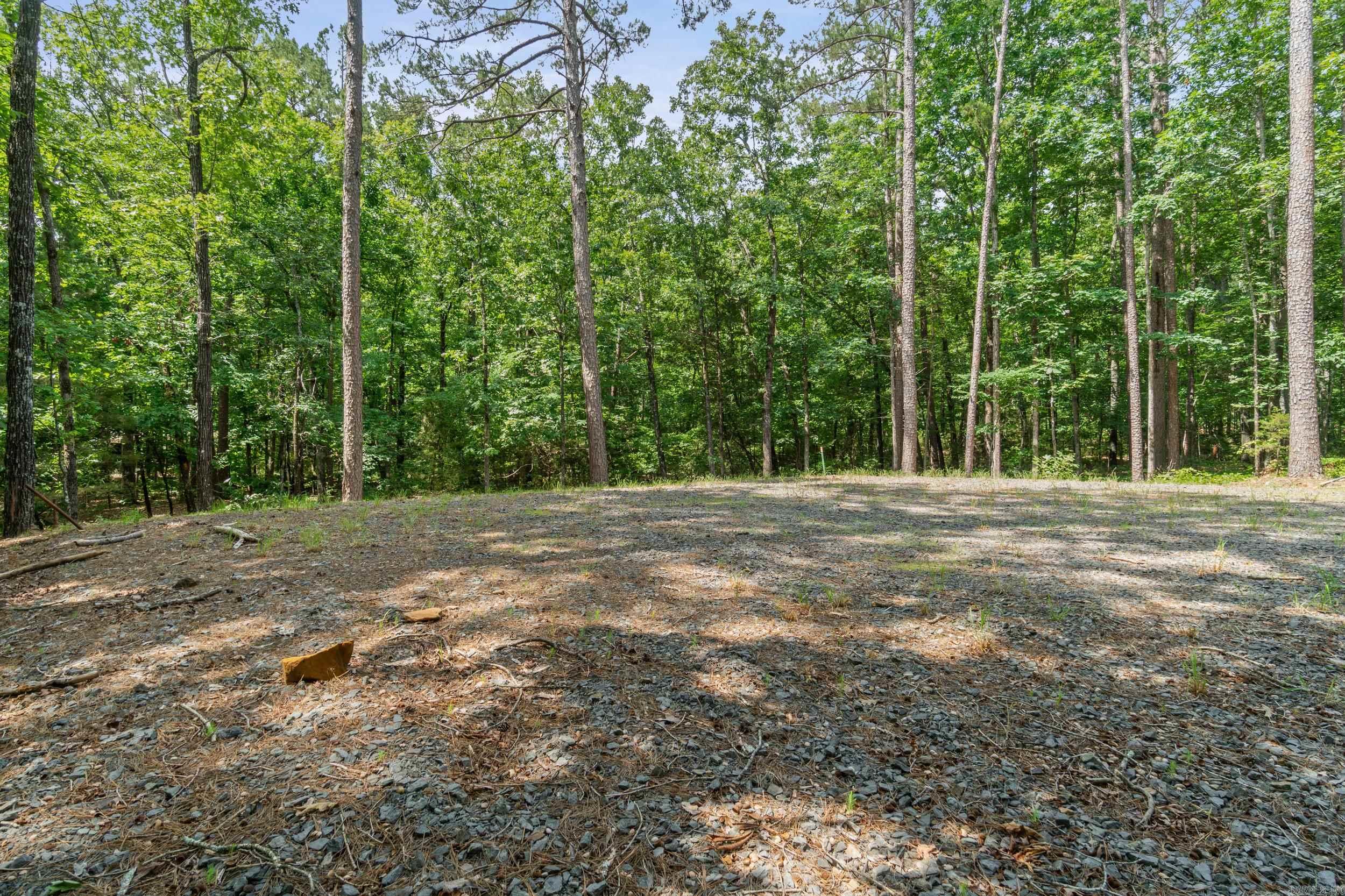 Tract 1 Robinhood Trail Property Photo 8