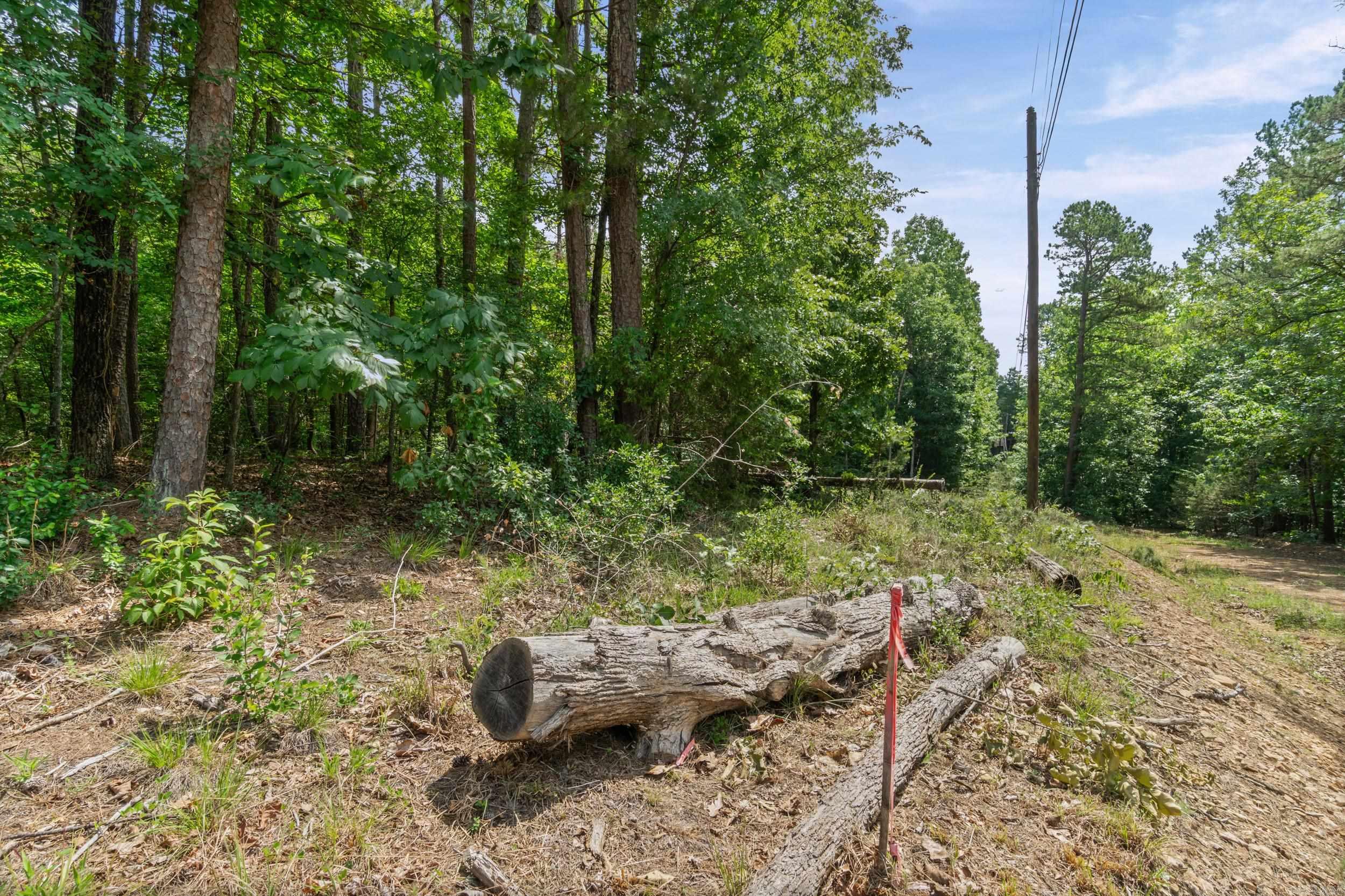 Tract 1 Robinhood Trail Property Photo 9