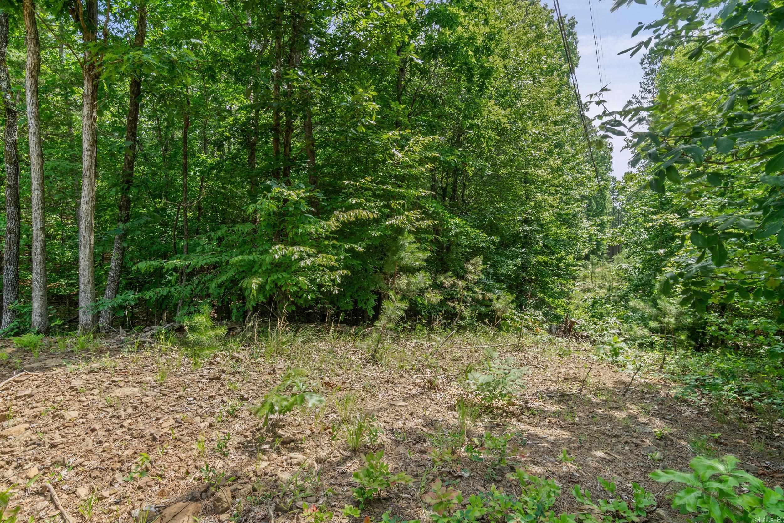 Tract 1 Robinhood Trail Property Photo 10