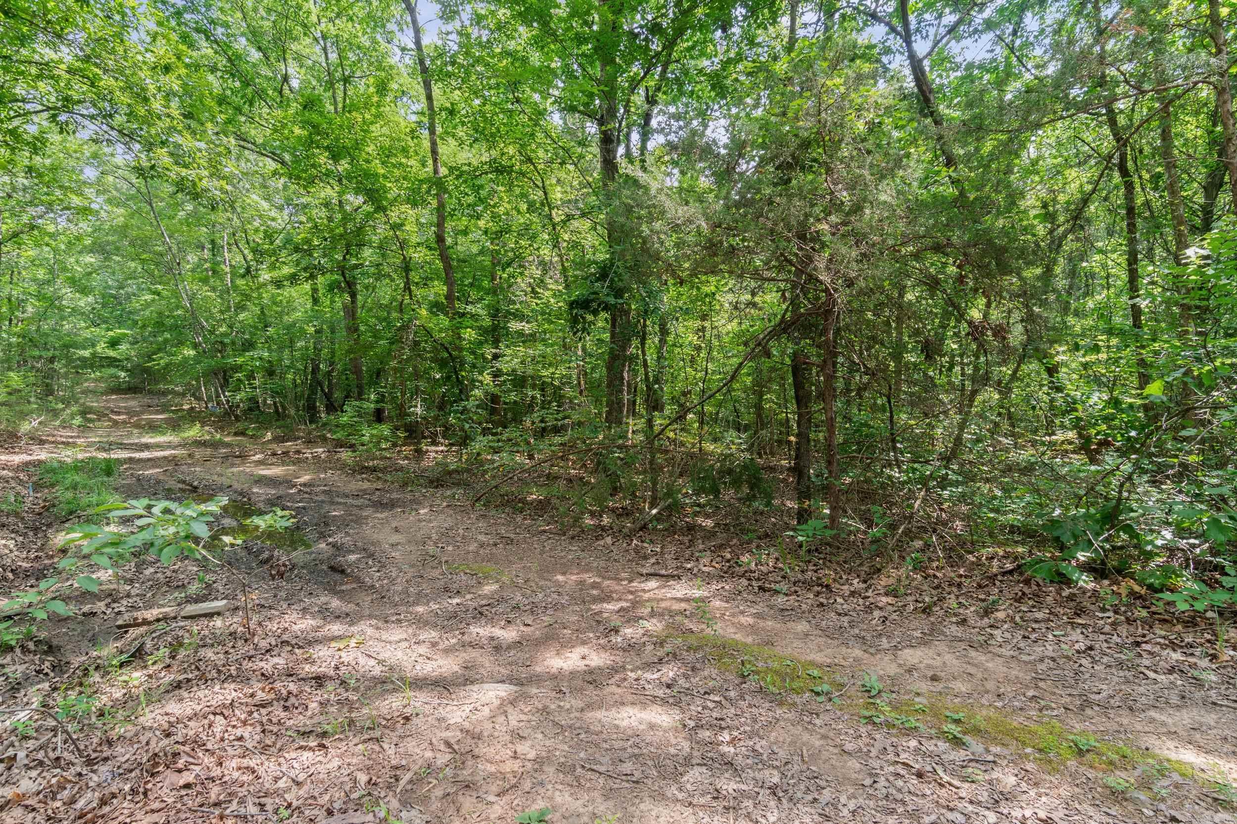 Tract 1 Robinhood Trail Property Photo 13