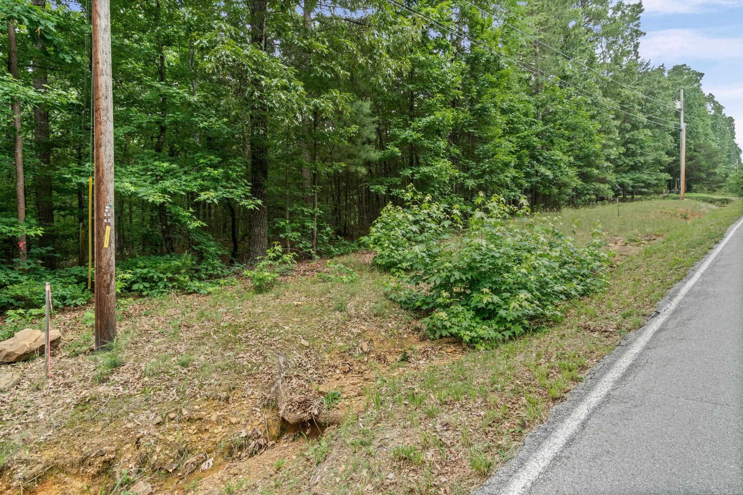 Tract 1 Robinhood Trail Property Photo 14