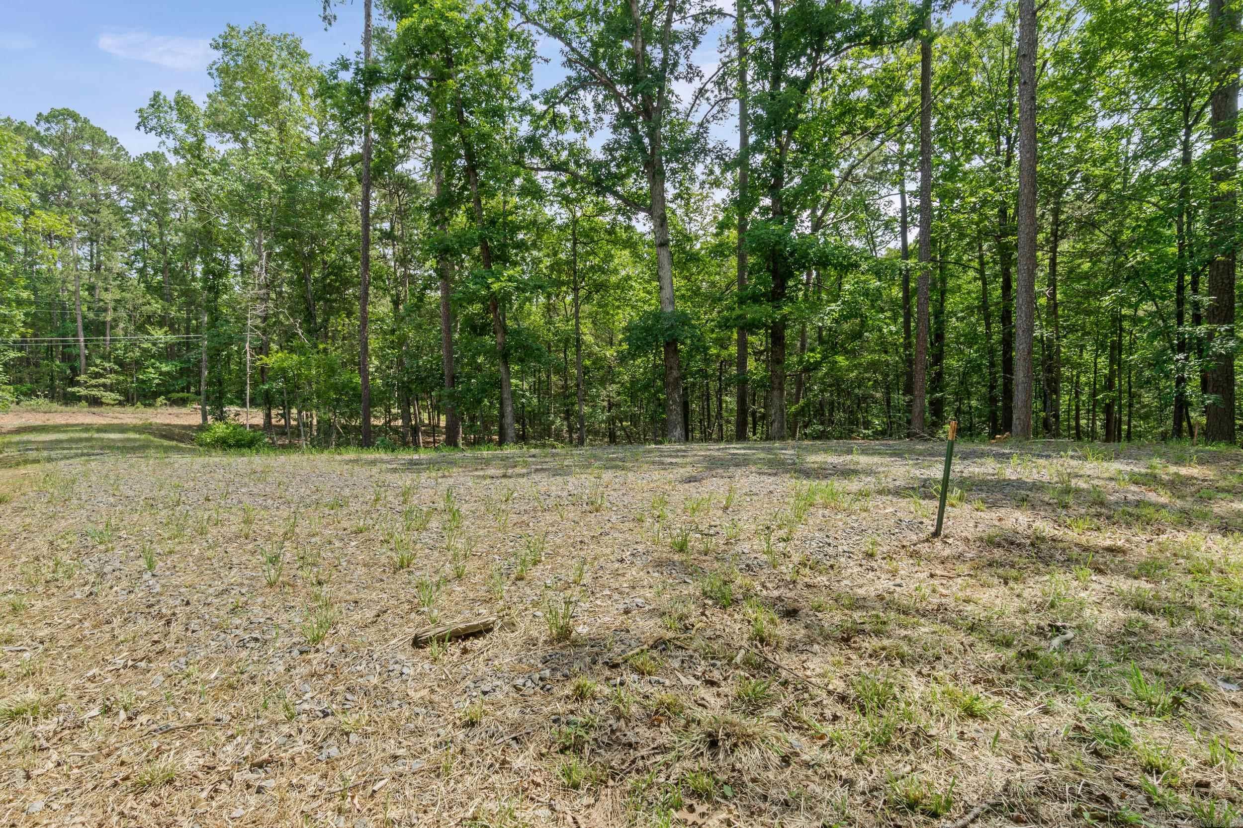 Tract 2 Robinhood Trail Property Photo 7