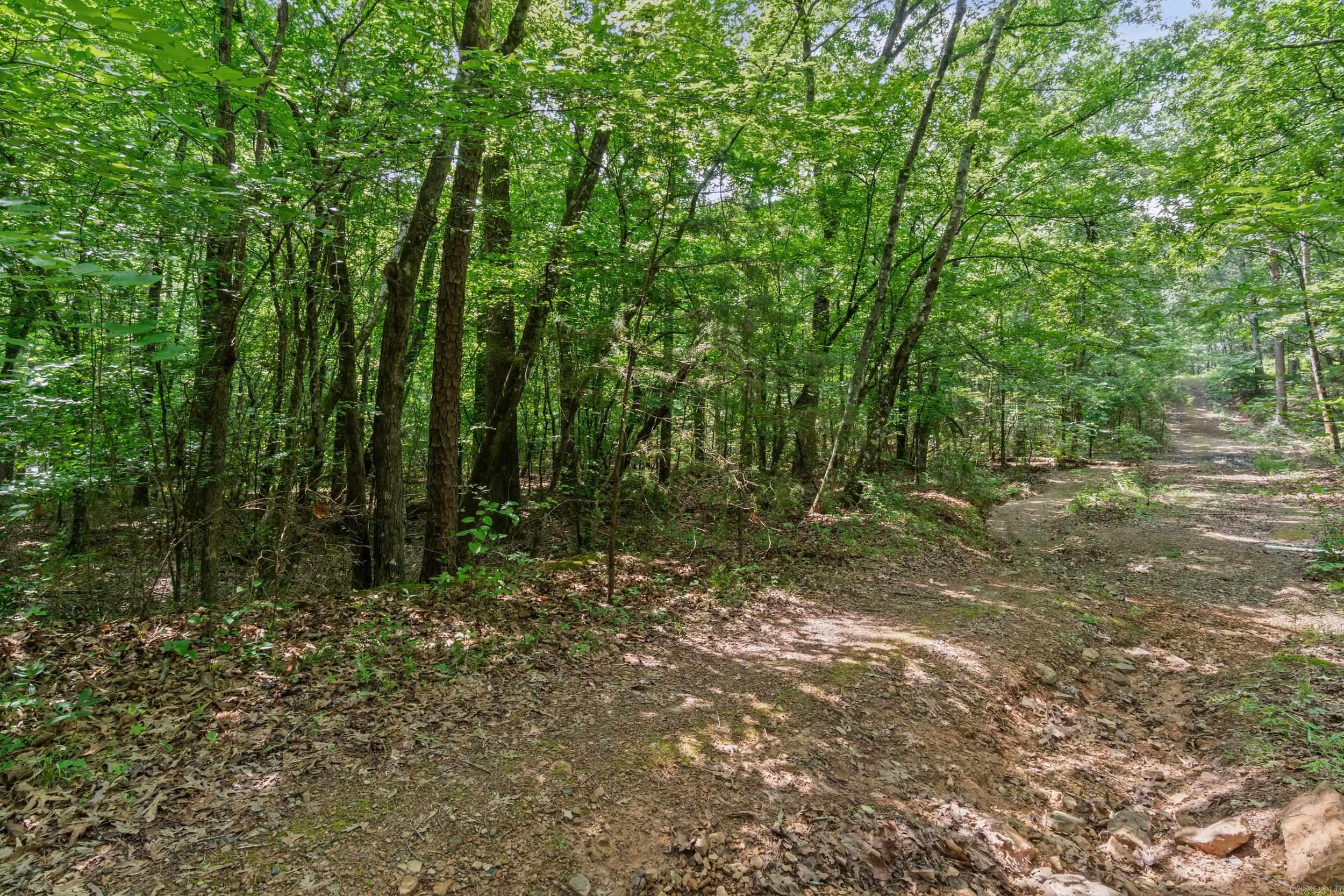 Tract 2 Robinhood Trail Property Photo 12