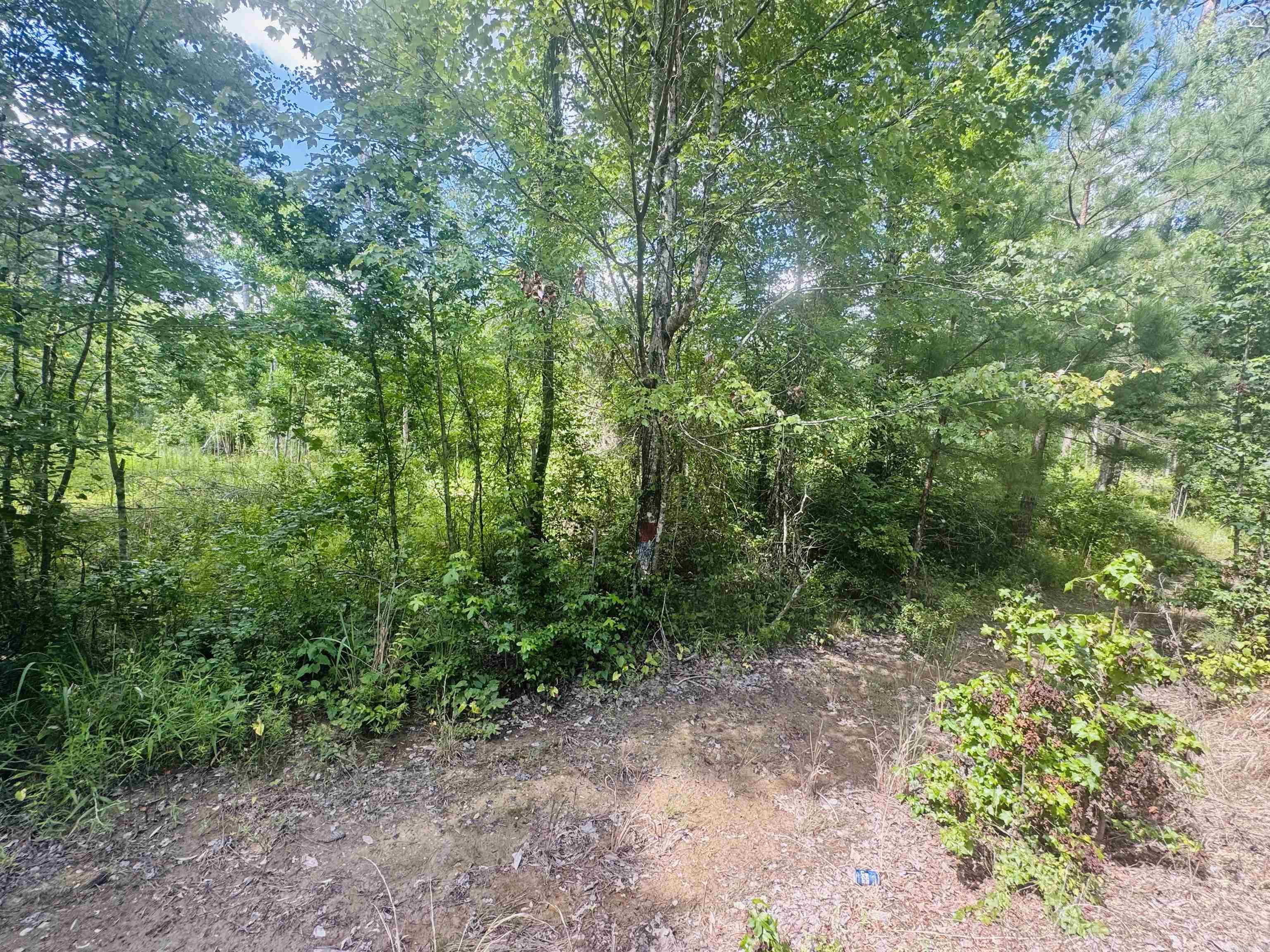 000 Mission Road Property Photo 4