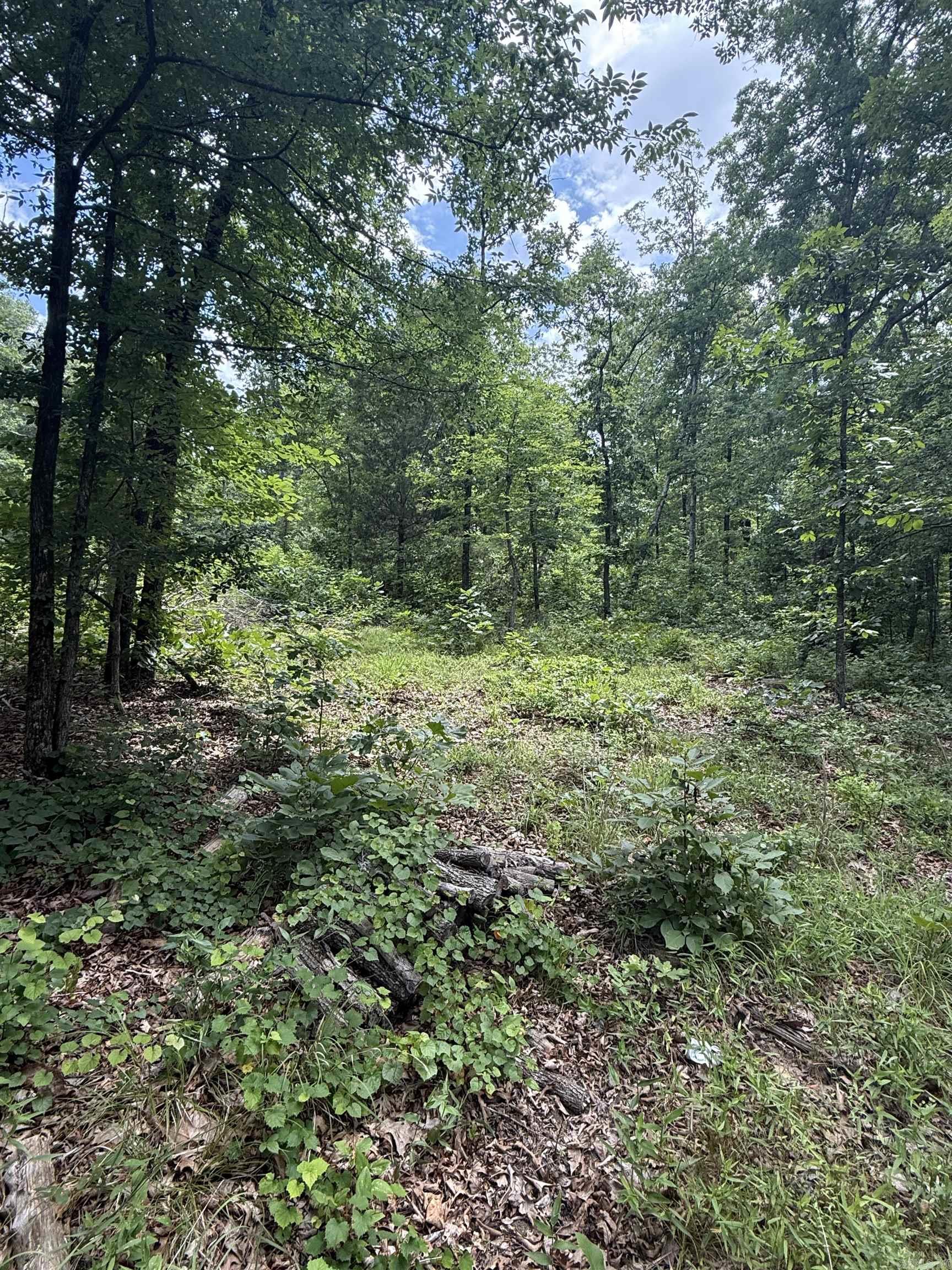 4650 Edgemont Road Property Photo 3