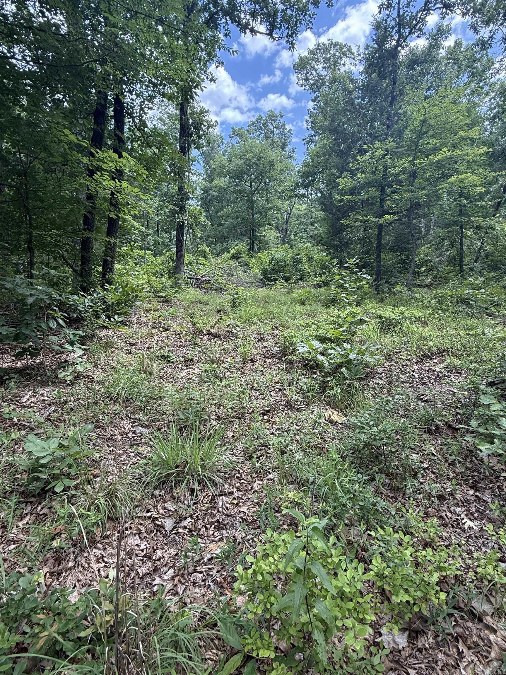 4650 Edgemont Road Property Photo 4