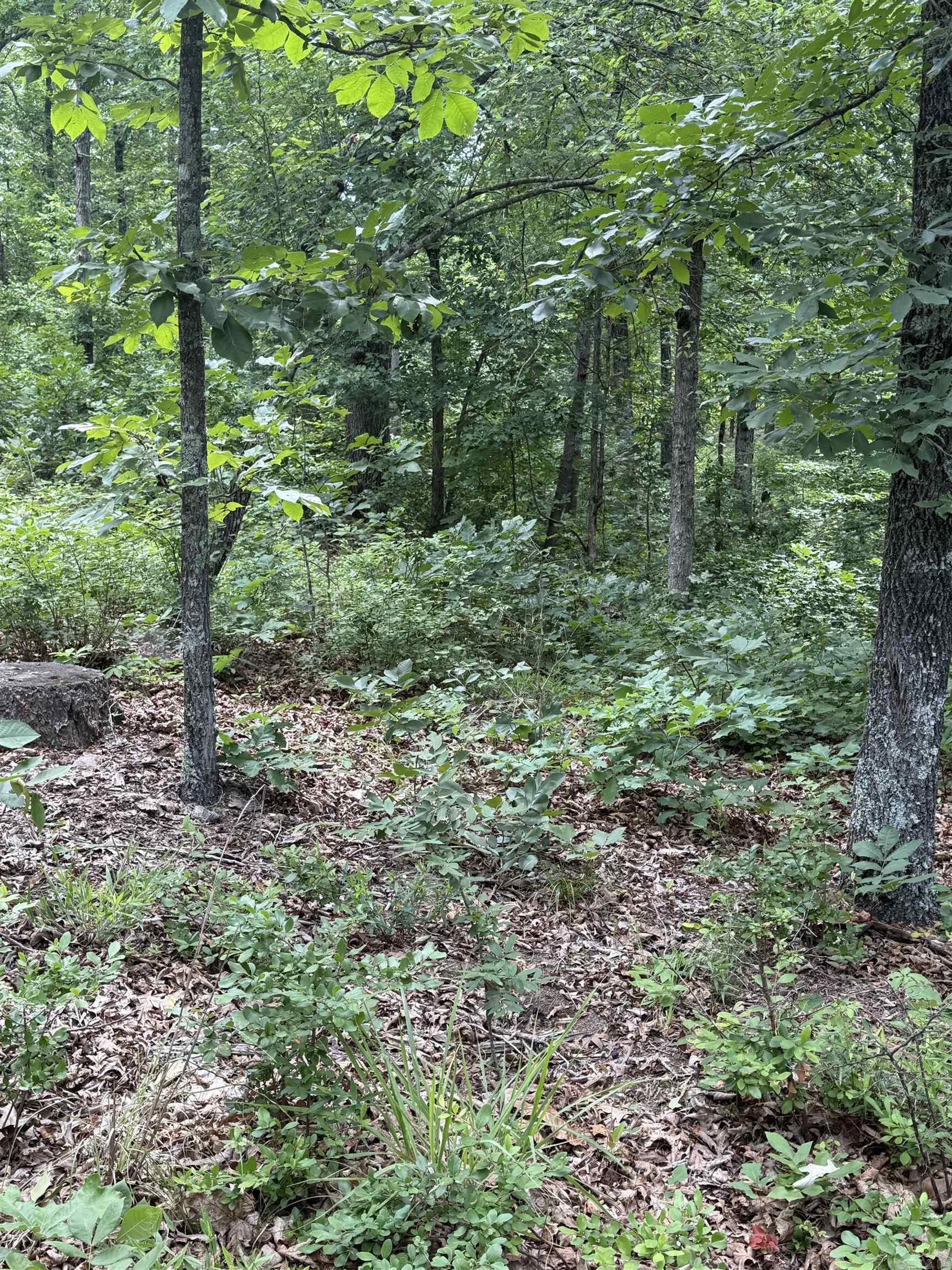 4650 Edgemont Road Property Photo 5