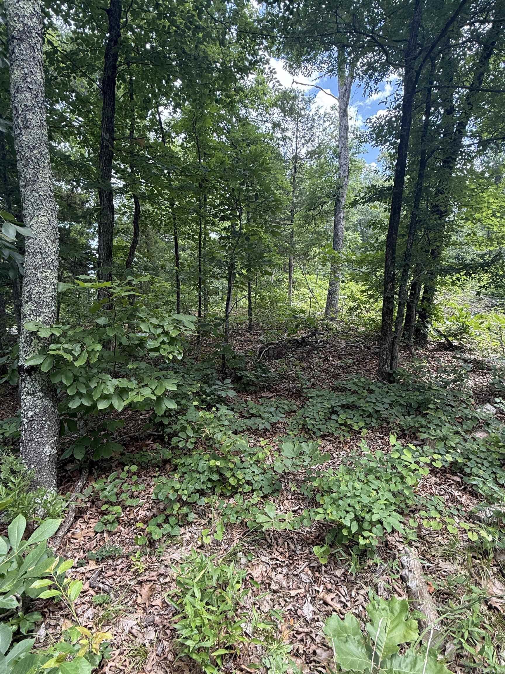 4650 Edgemont Road Property Photo 10