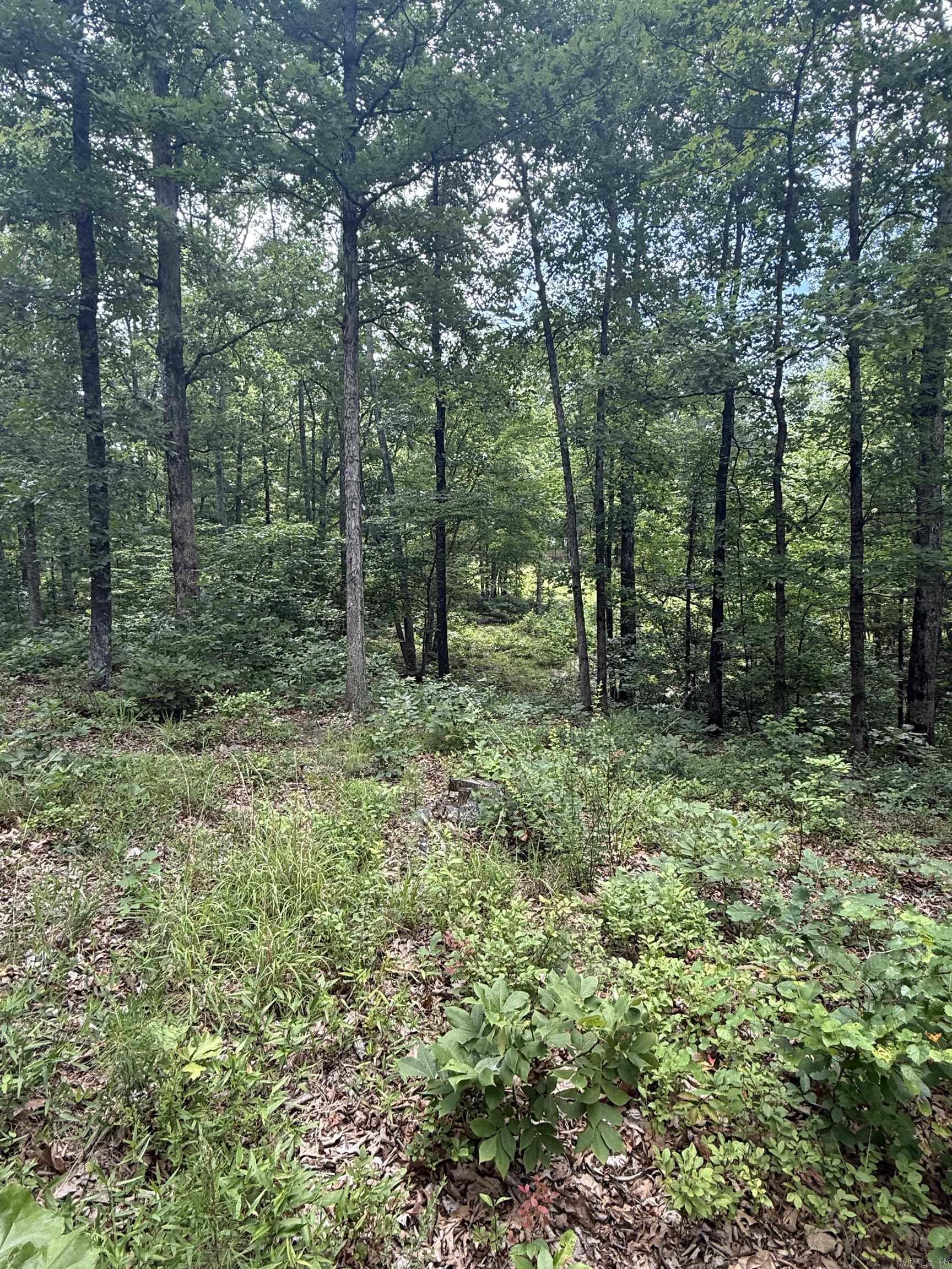 4650 Edgemont Road Property Photo 11