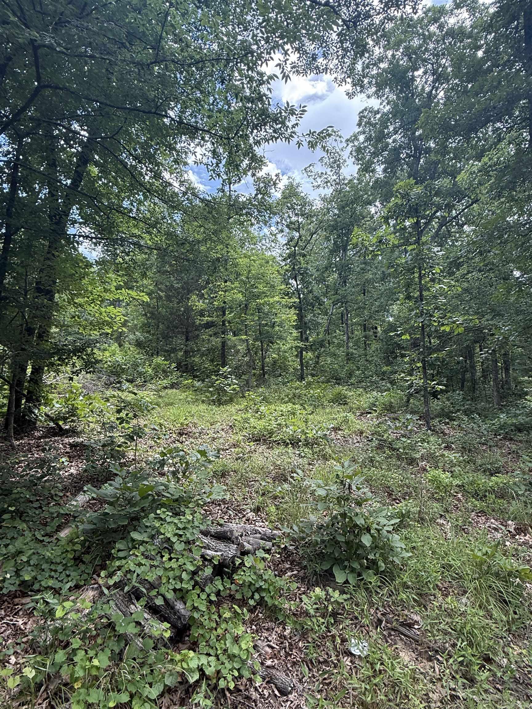 4650 Edgemont Road Property Photo 12