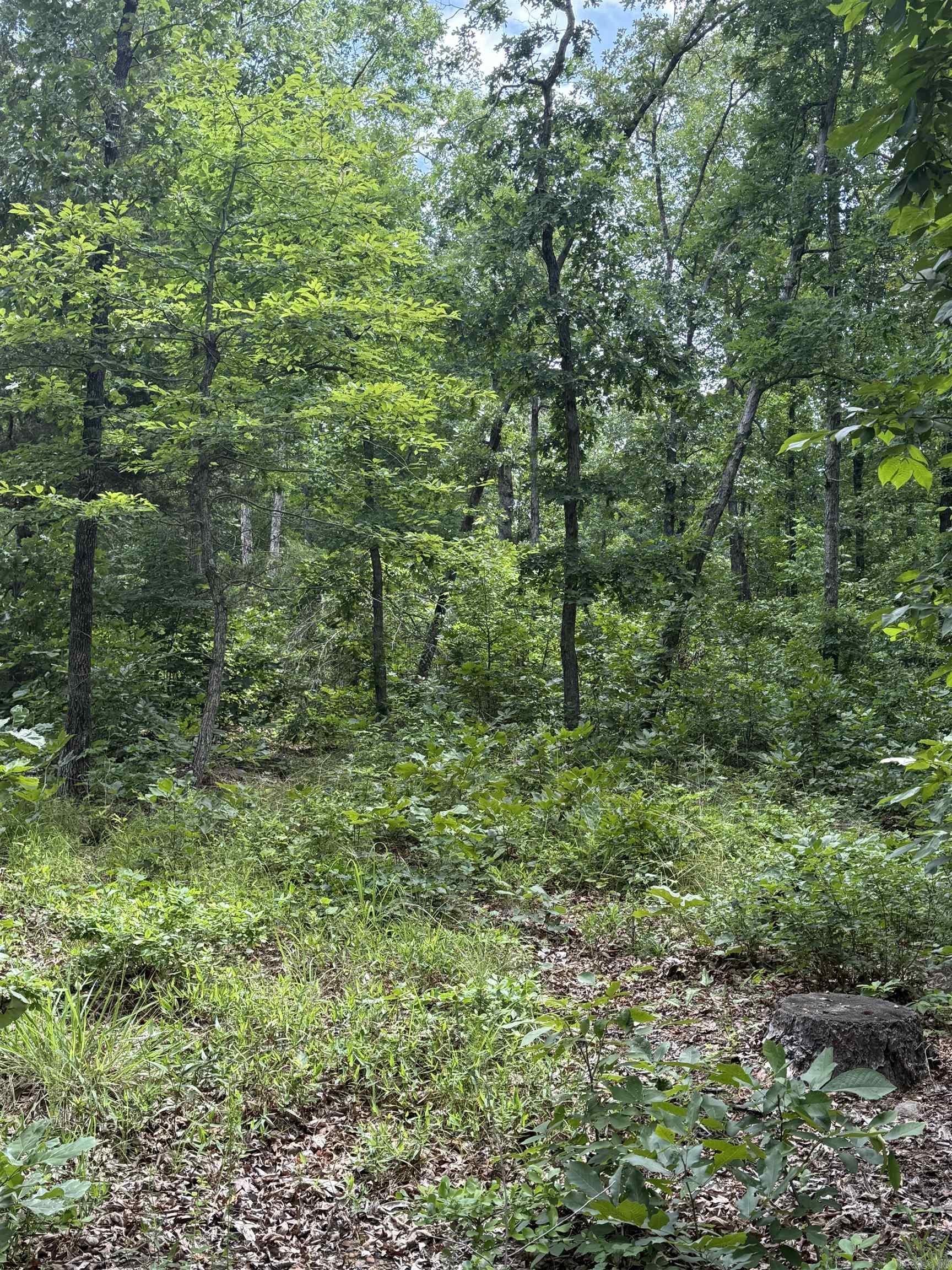 4650 Edgemont Road Property Photo 13