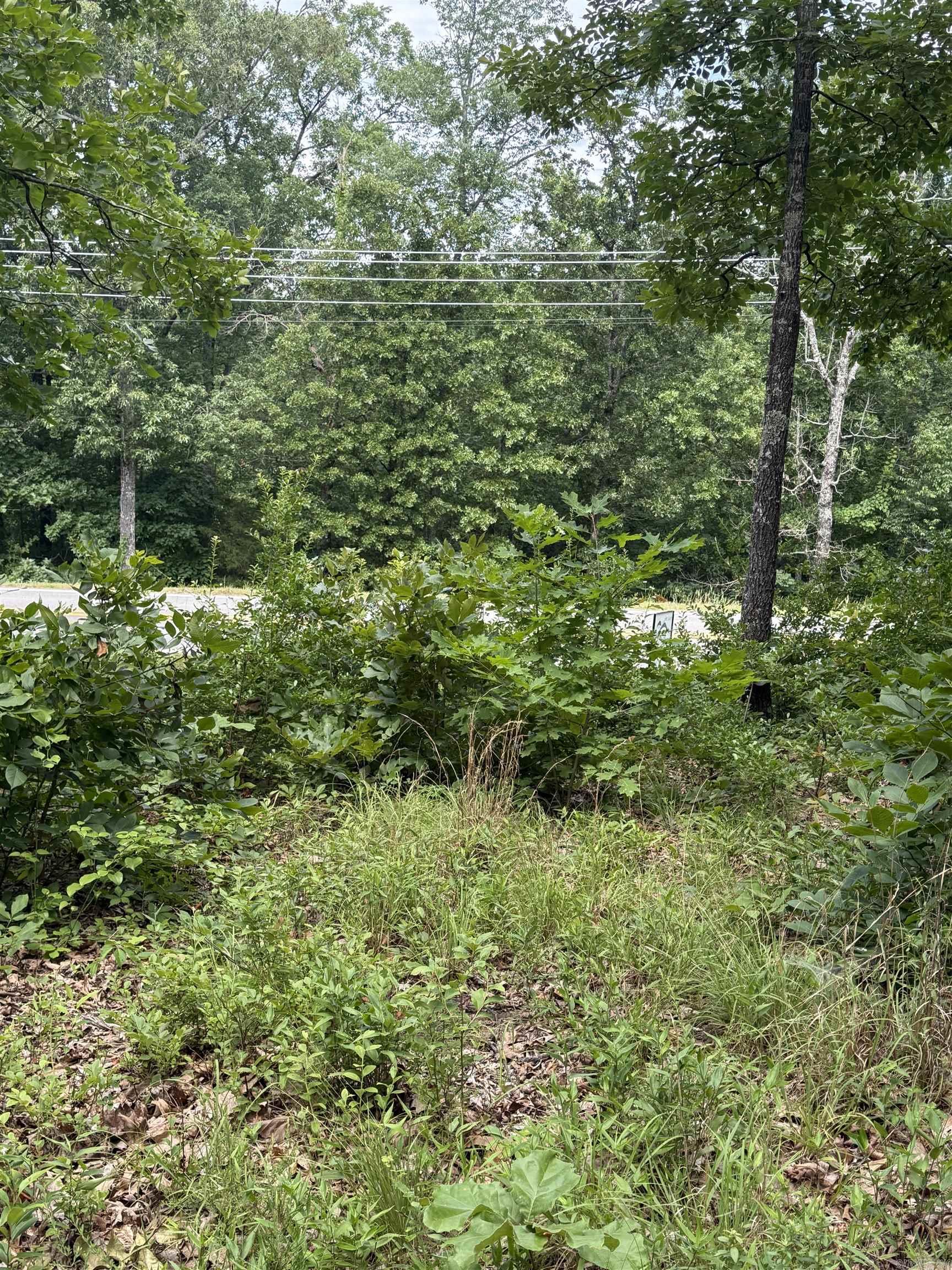4650 Edgemont Road Property Photo 15