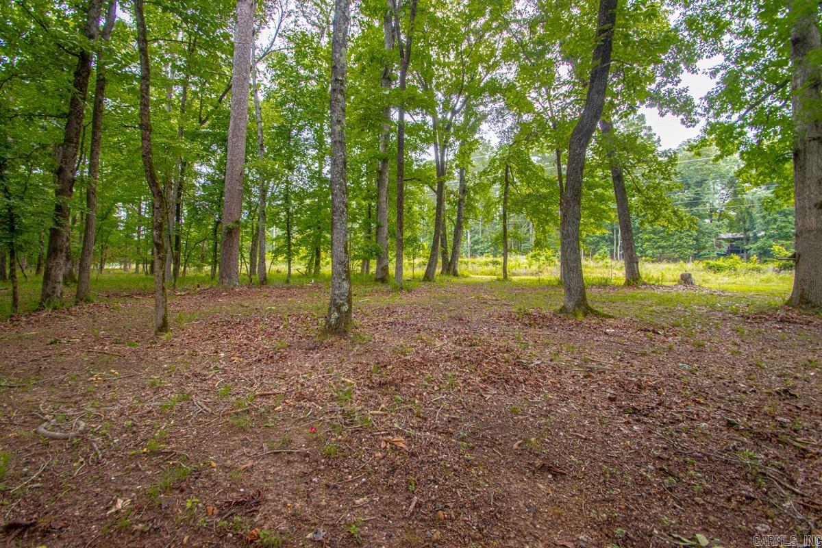 715 Plum Hollow Property Photo 13