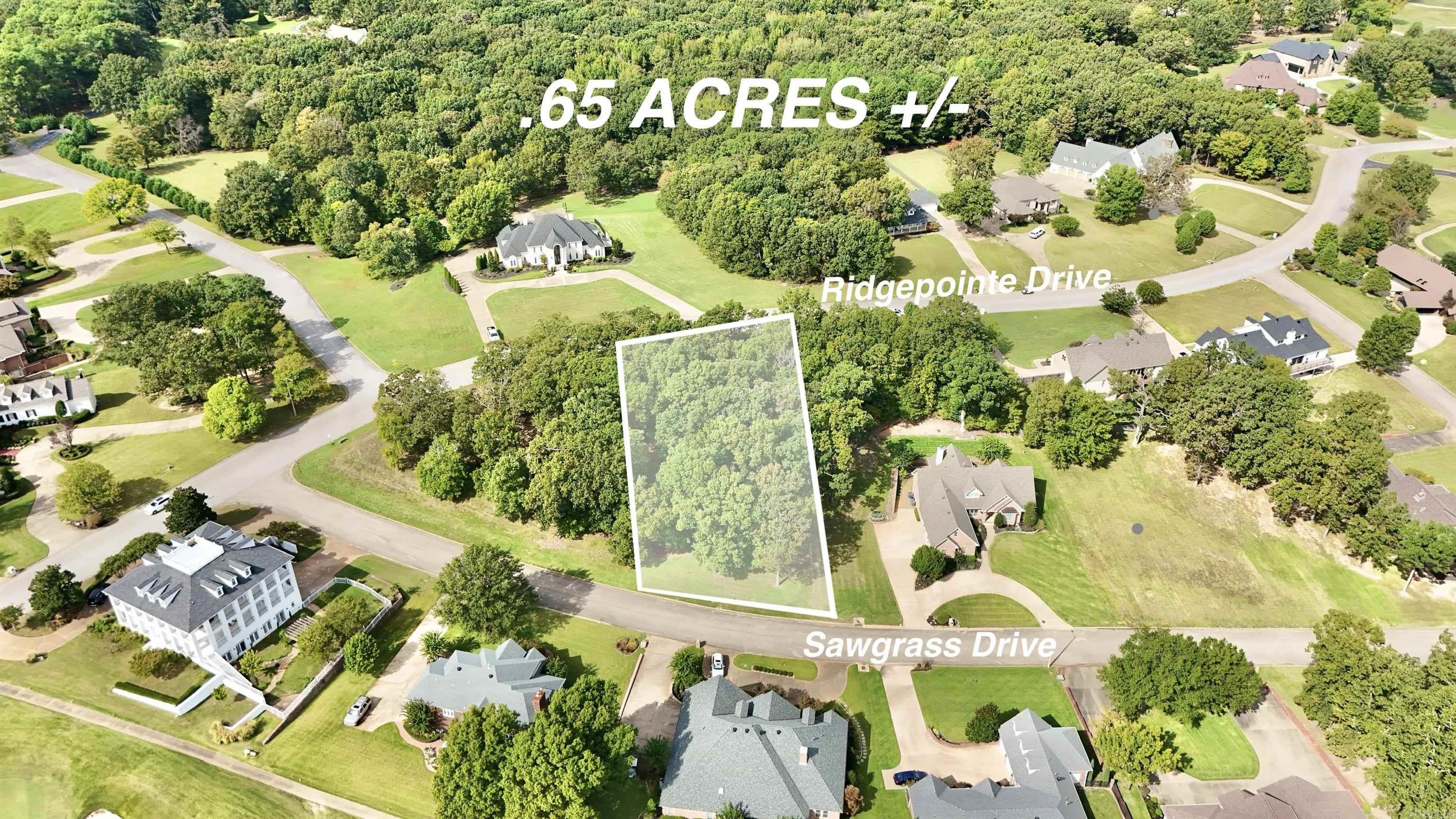 .65 Acres In Ridgepointe Property Photo 1