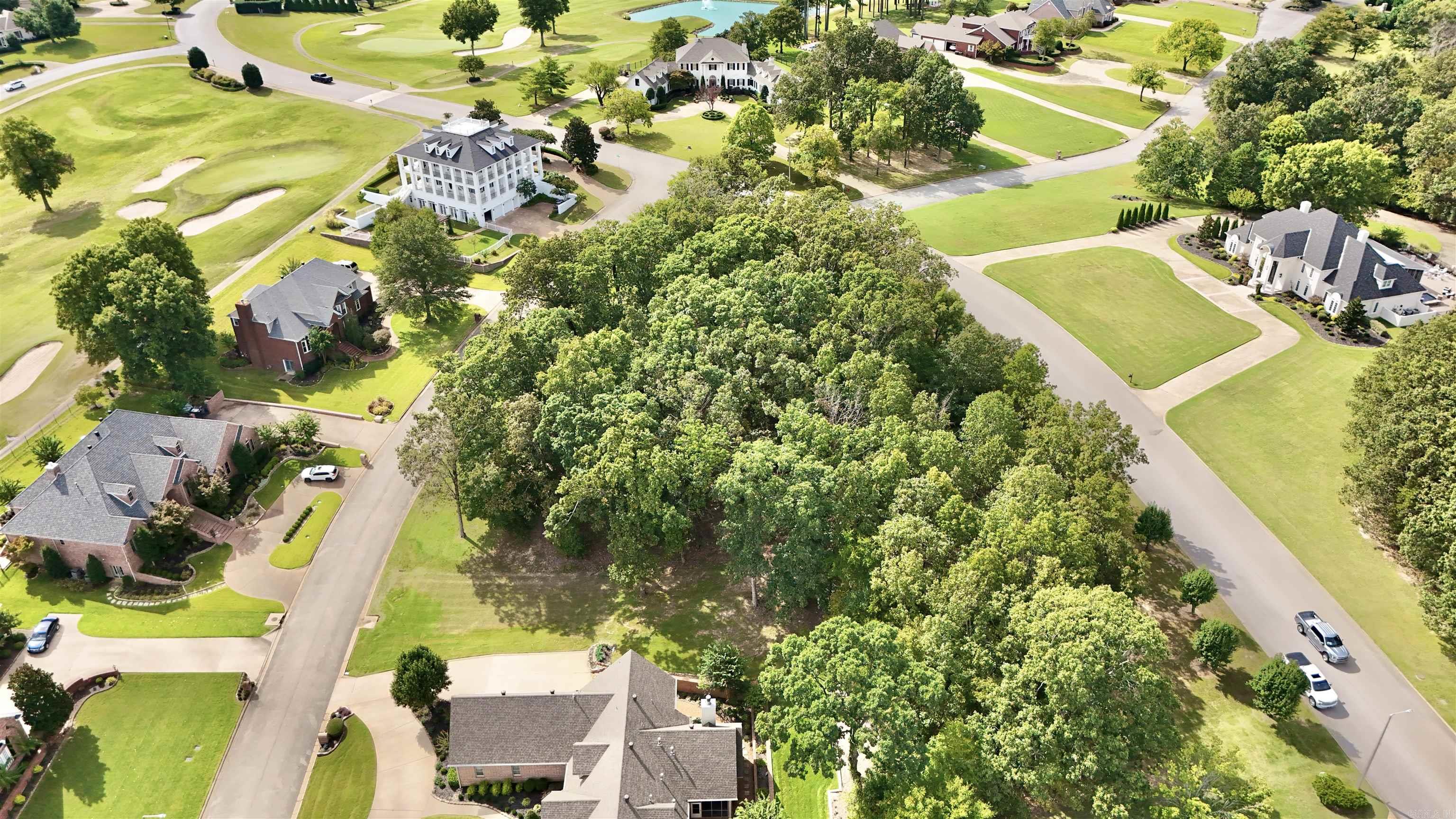 .65 Acres In Ridgepointe Property Photo 6