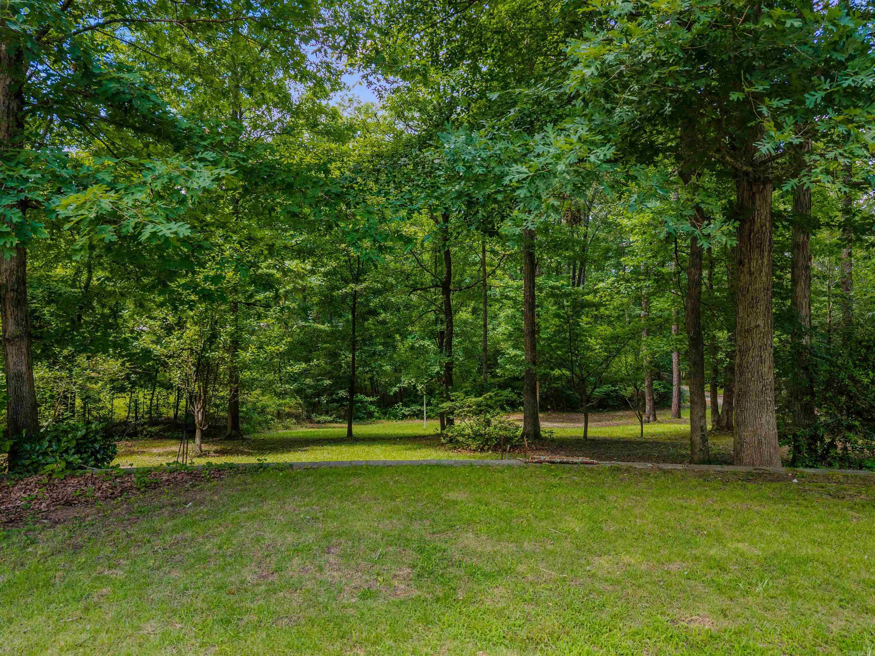 15700 Vimy Woods Property Photo 8