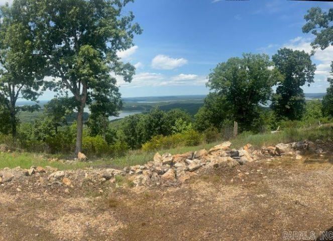 418 Eagle Ridge Lane Property Photo 10