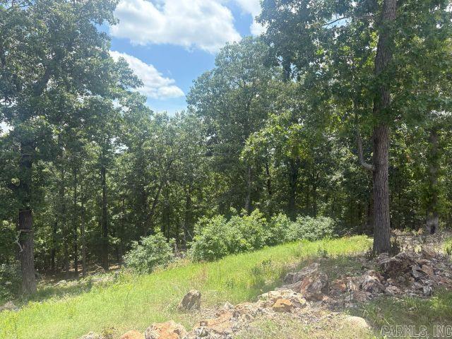 418 Eagle Ridge Lane Property Photo 11