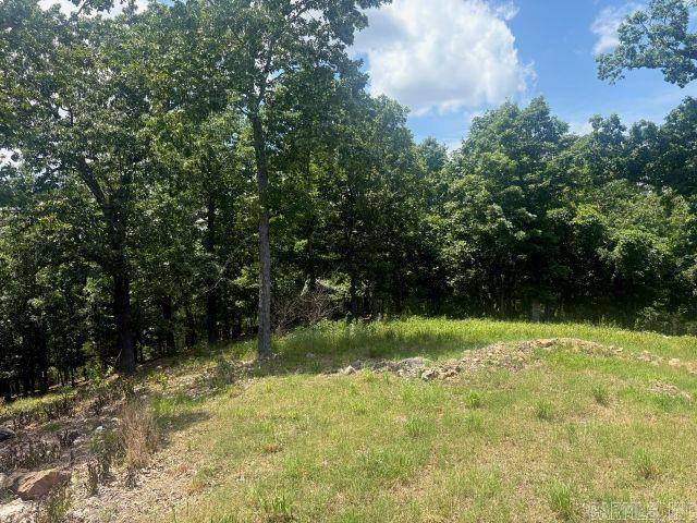 418 Eagle Ridge Lane Property Photo 12