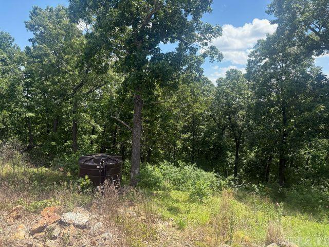 418 Eagle Ridge Lane Property Photo 13