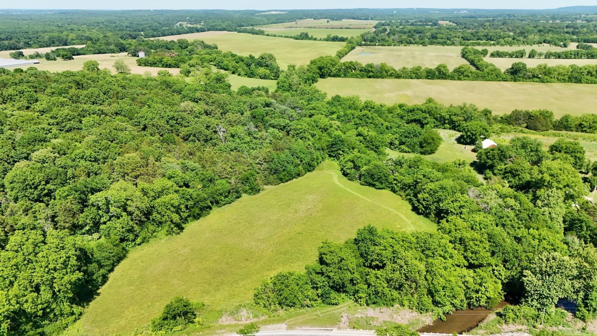 9.80 Acres Locust Grove Property Photo 6
