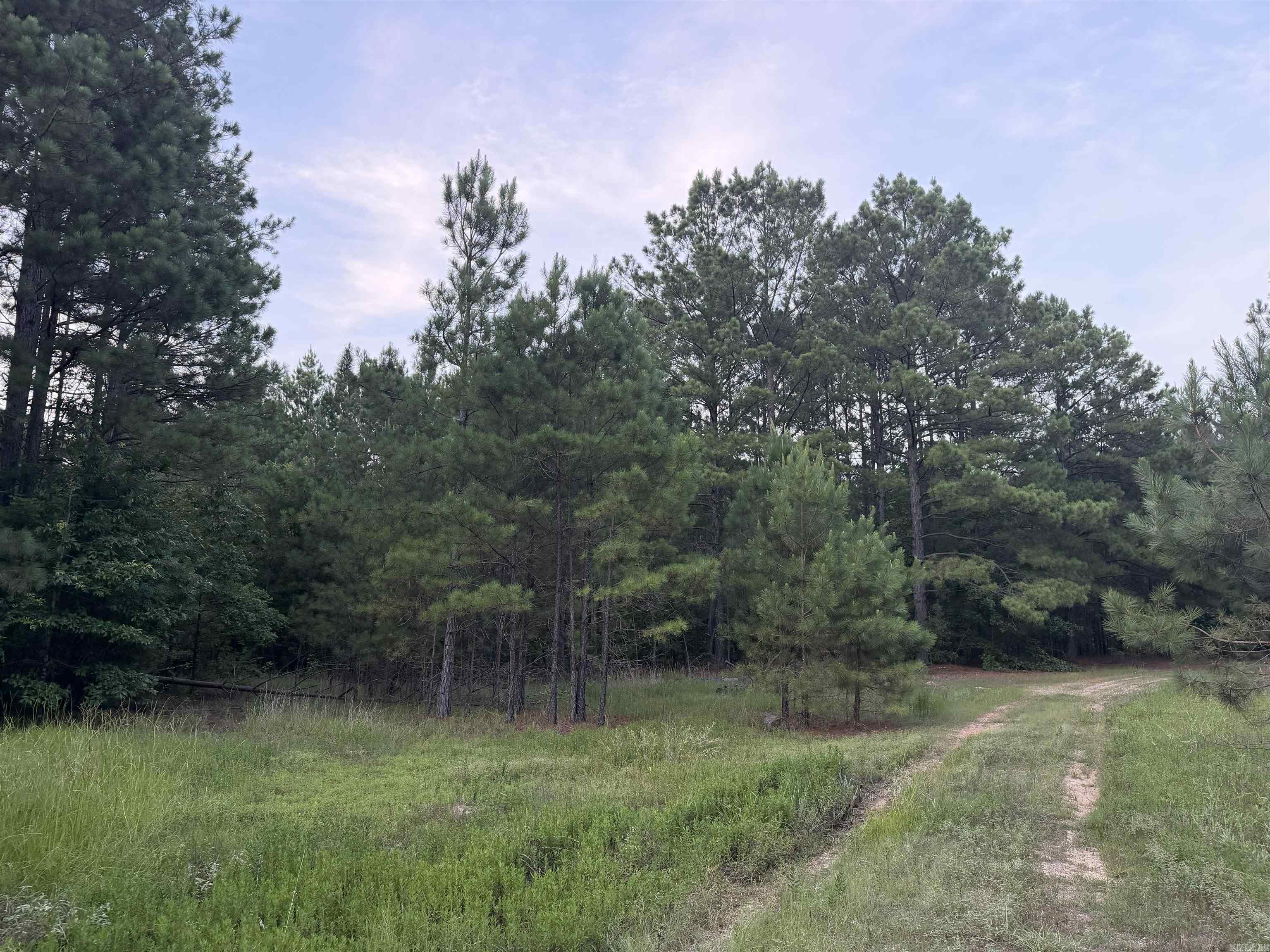 600 Block S Highway 35 Property Photo 12