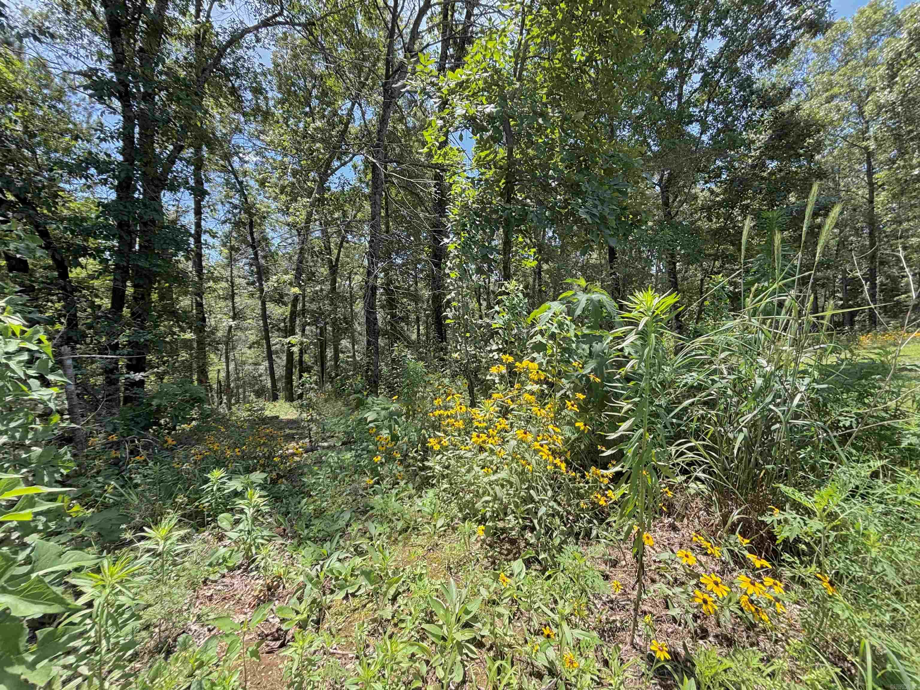552 Hwy 225 E Property Photo 36