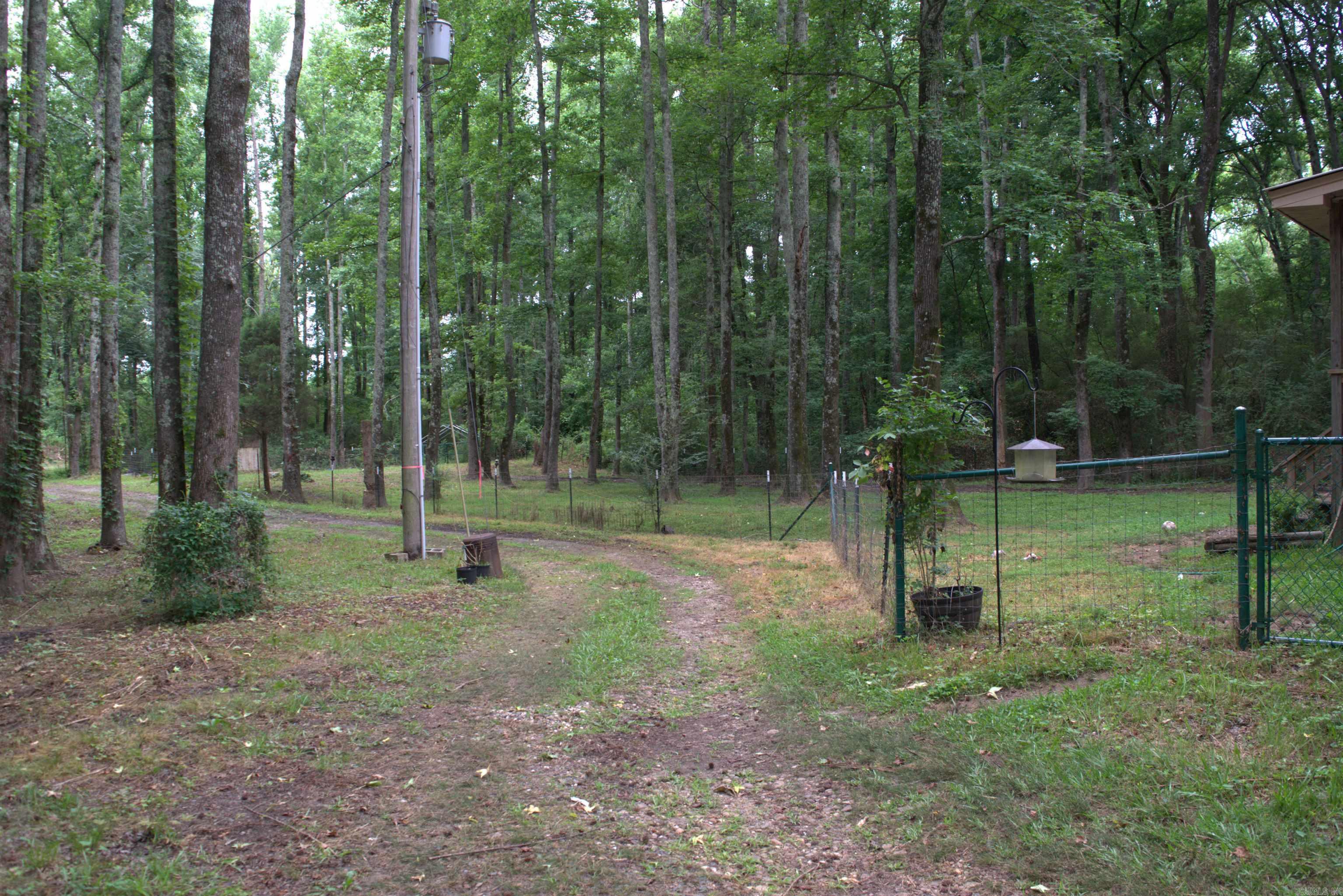 1825 Dyer Street Property Photo 5