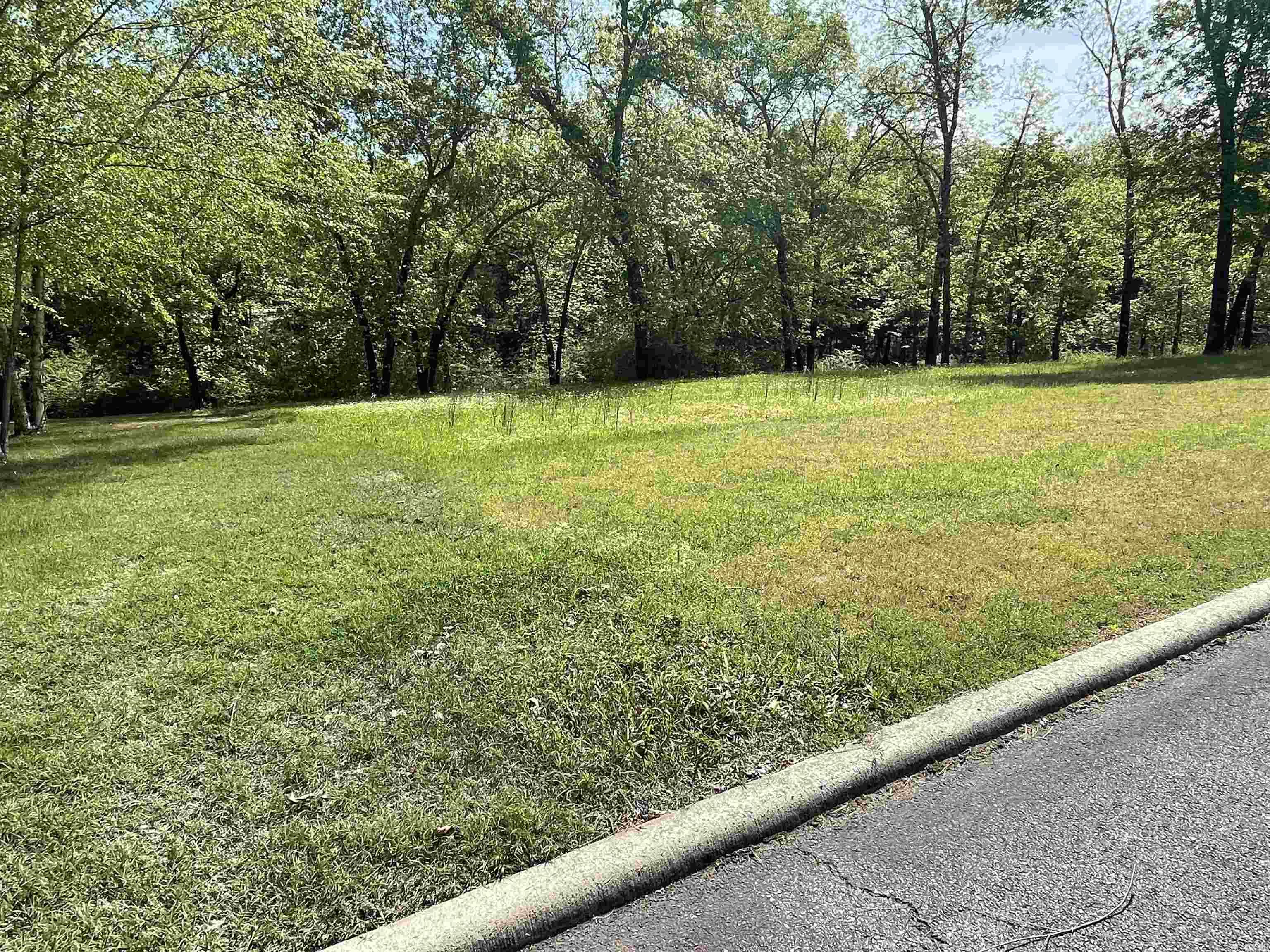 17 Brighton Pointe Property Photo 1