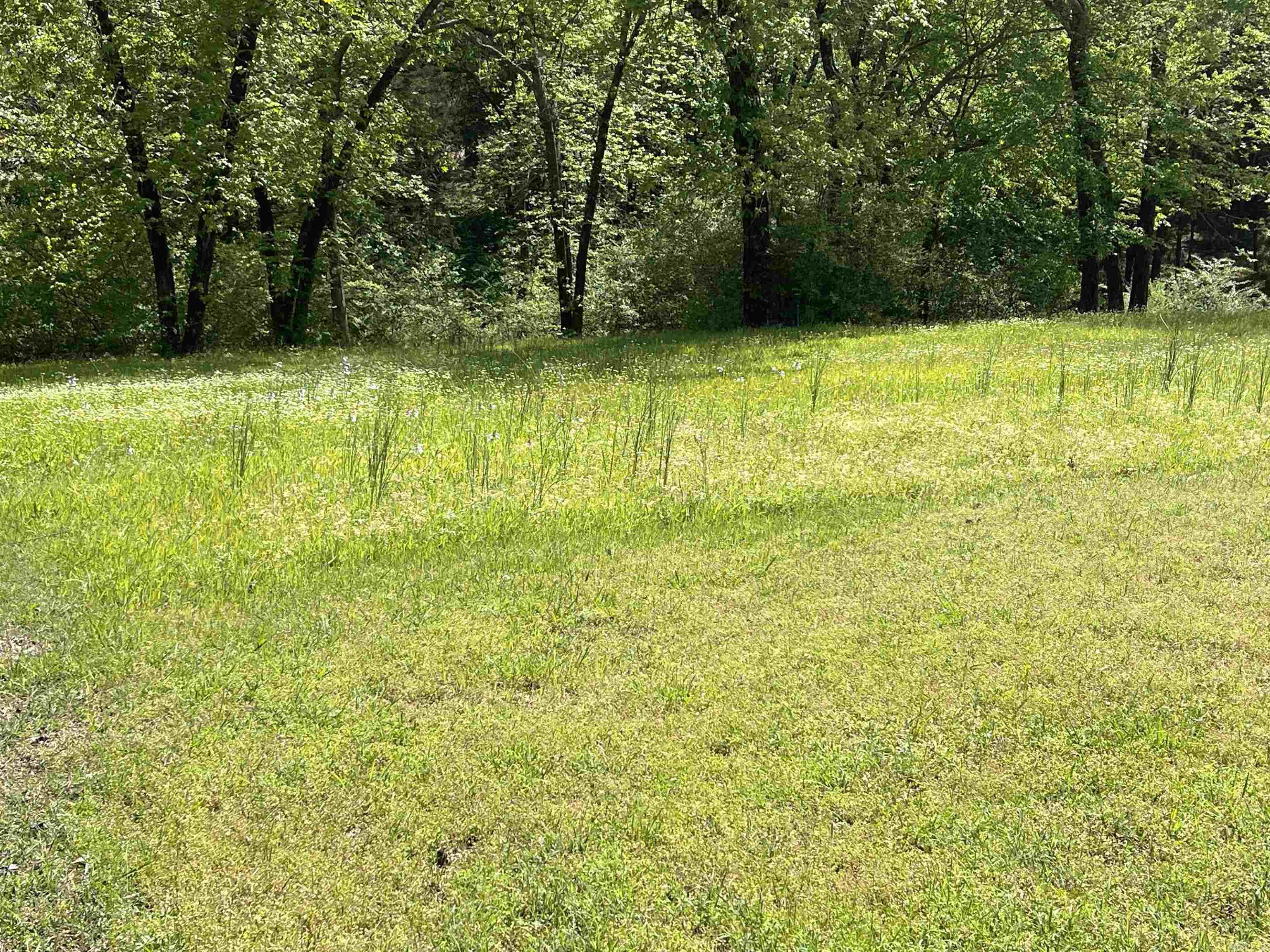 17 Brighton Pointe Property Photo 4