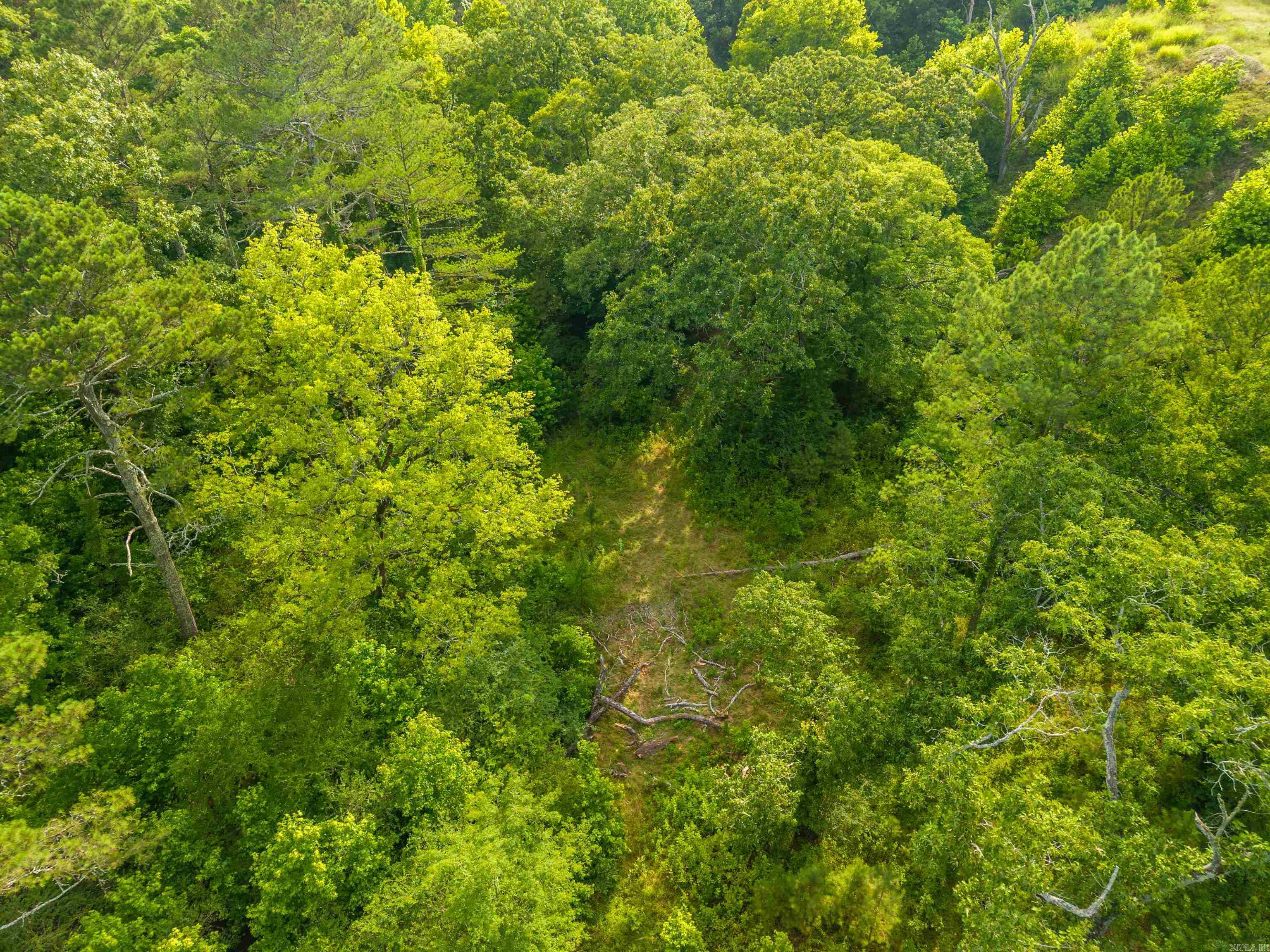 000 Kinsey Mountain Road Property Photo 22