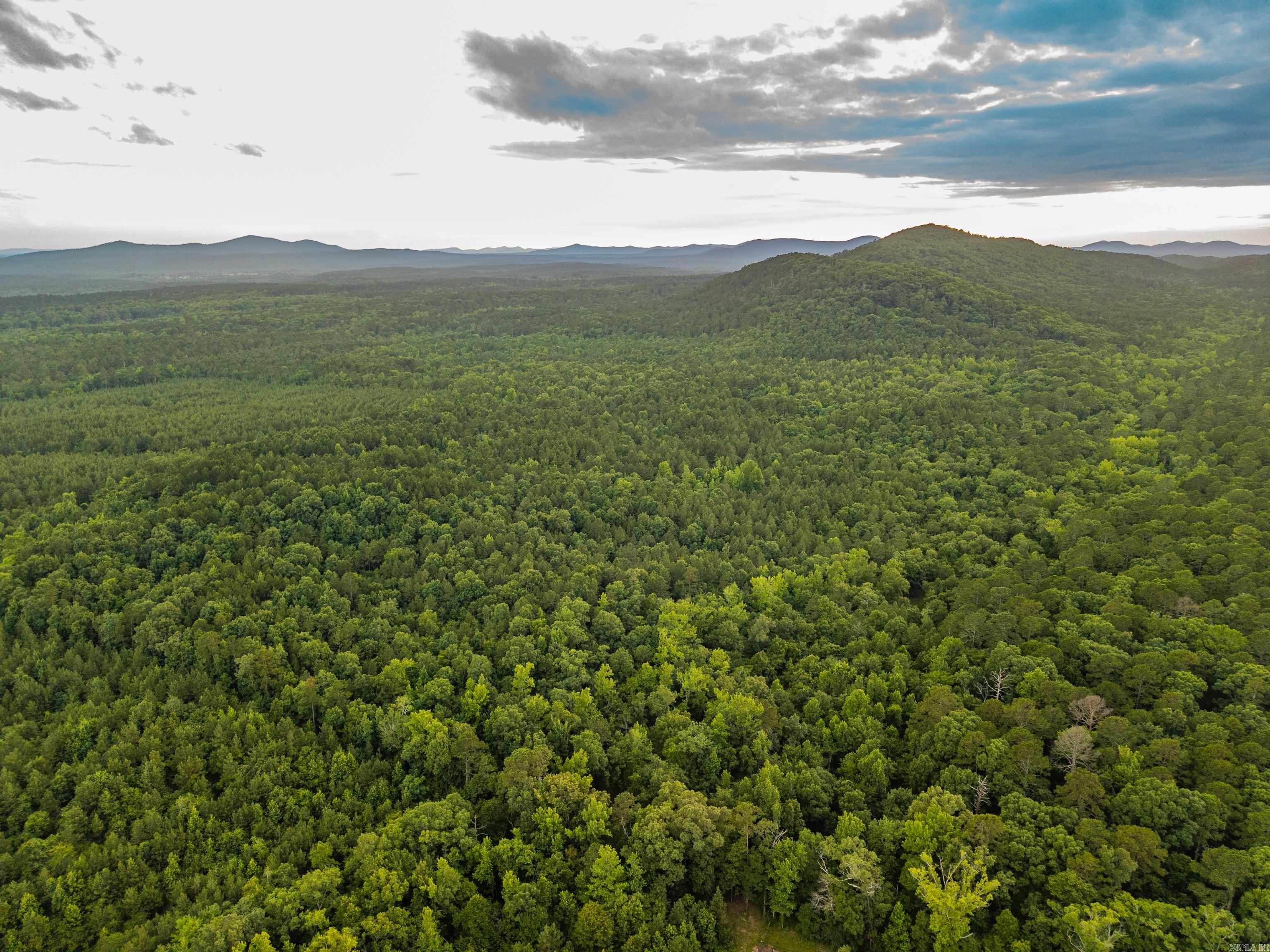 000 Kinsey Mountain Road Property Photo 37