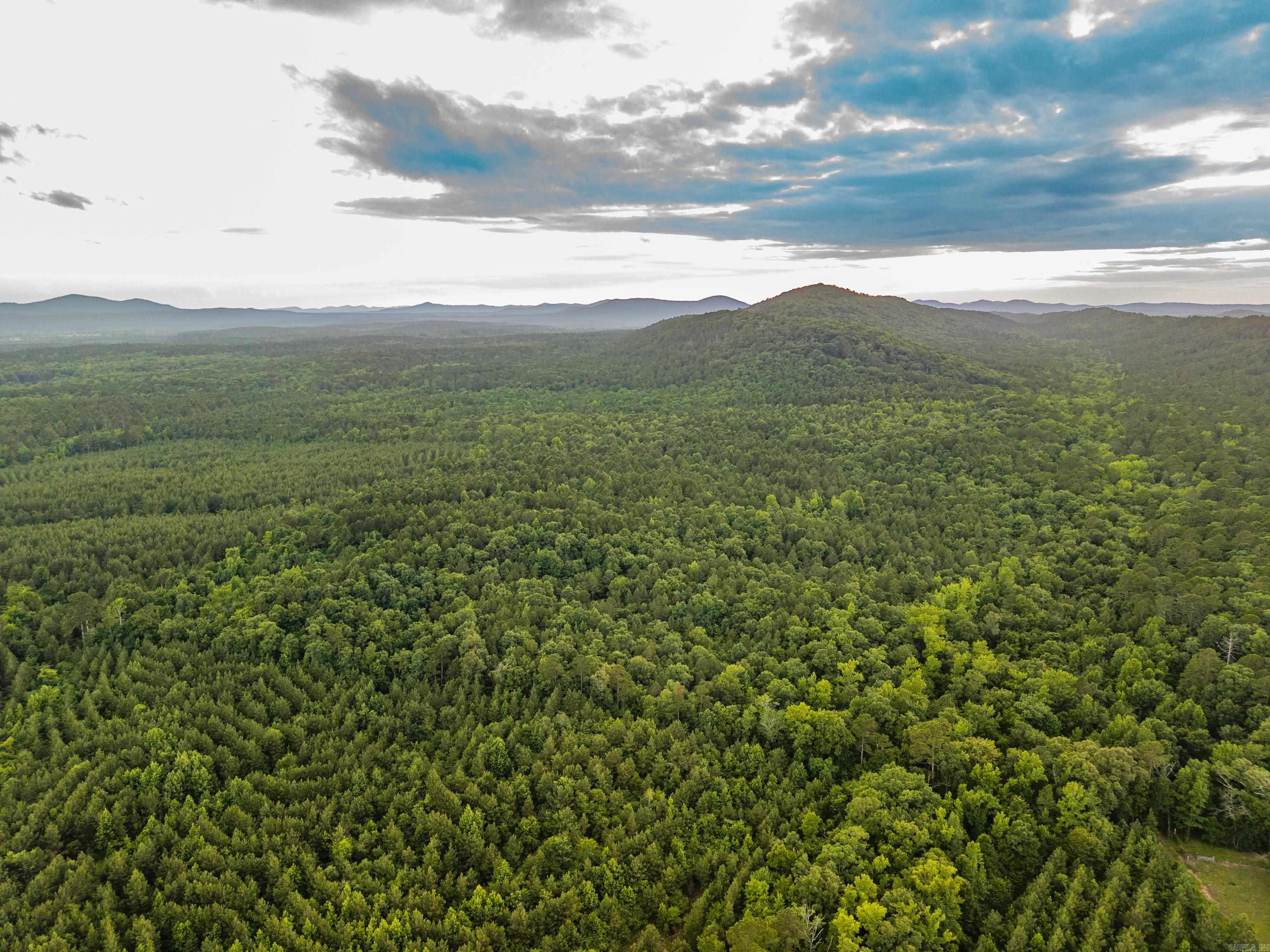 000 Kinsey Mountain Road Property Photo 38