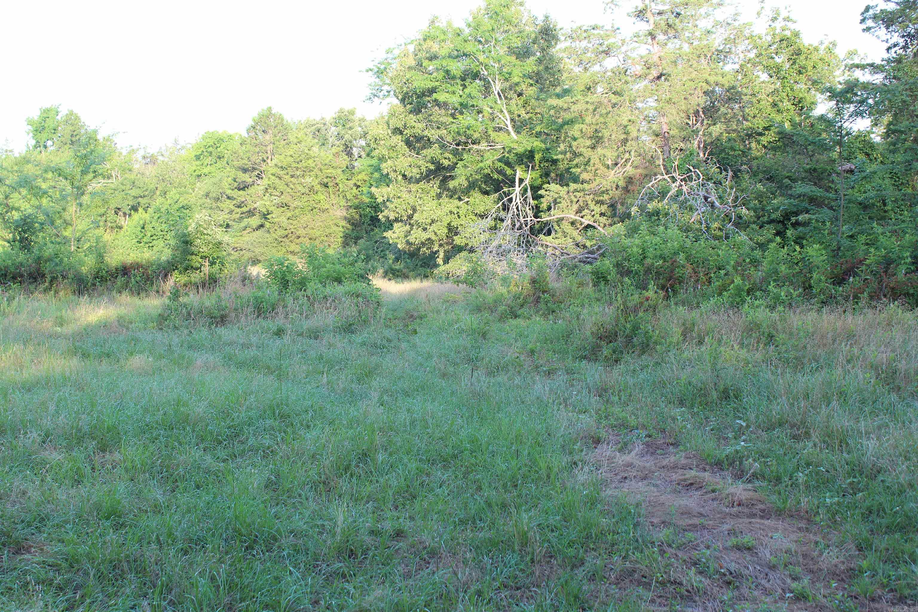 000 197 Property Photo 21