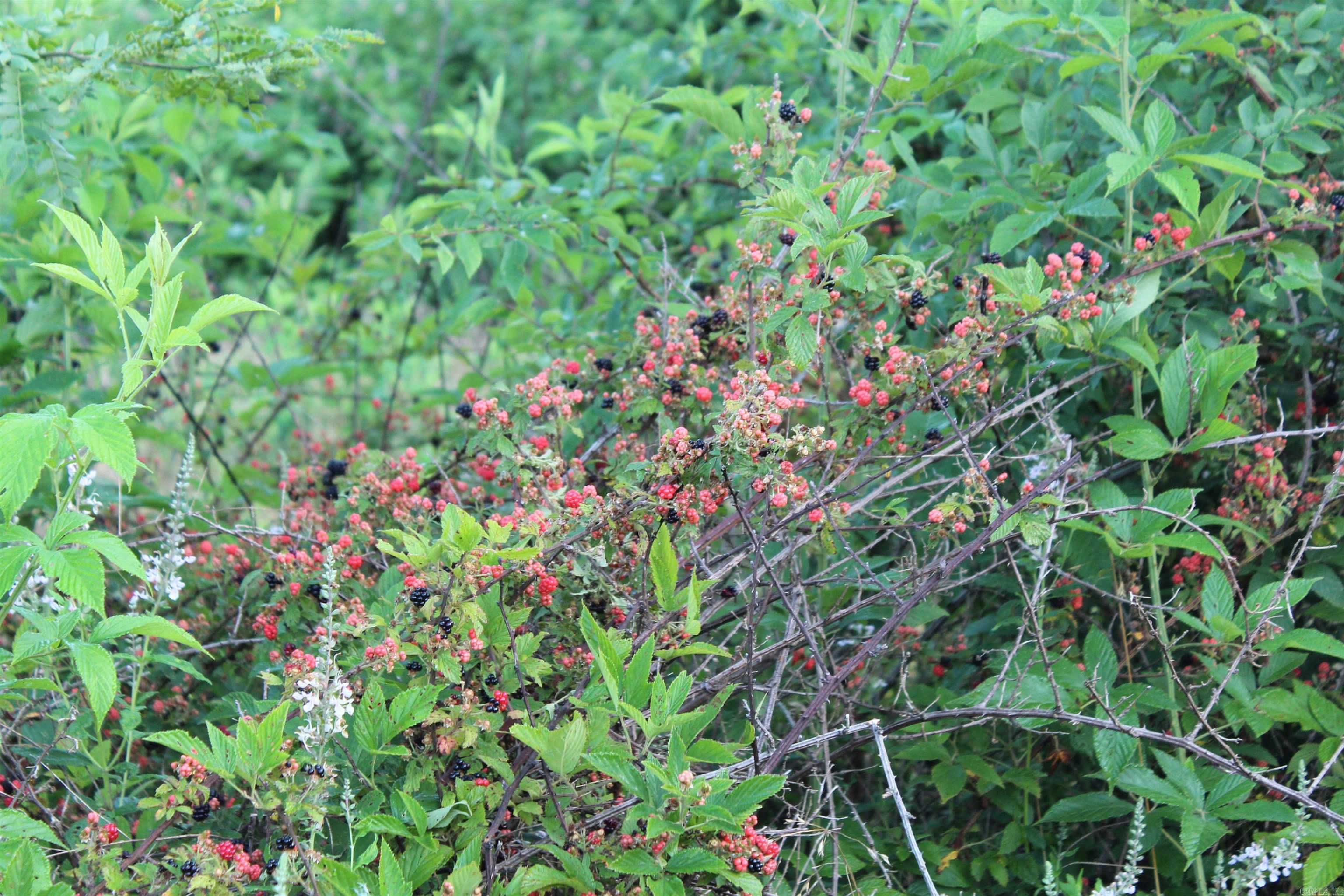 000 197 Property Photo 22