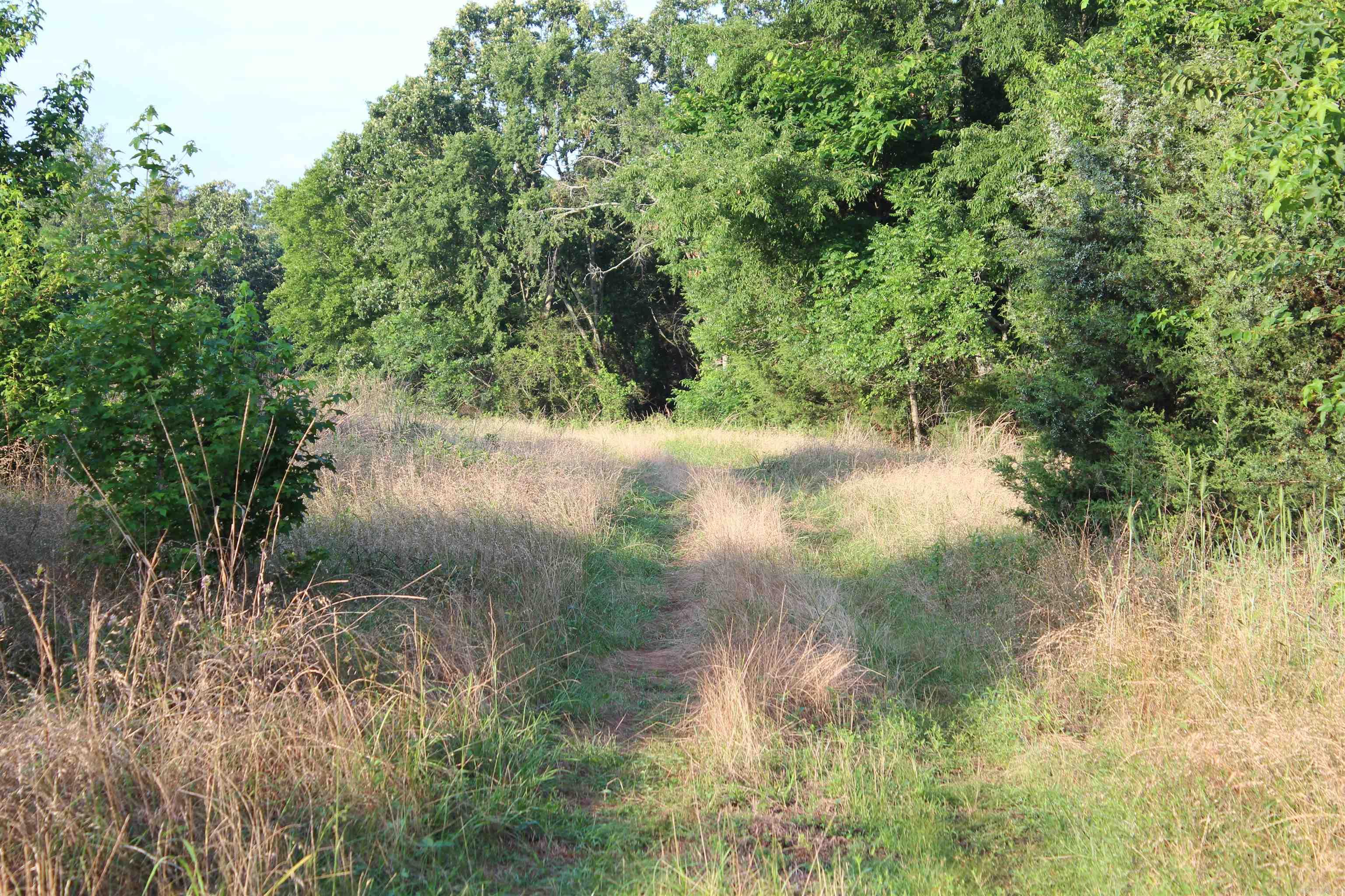 000 197 Property Photo 25
