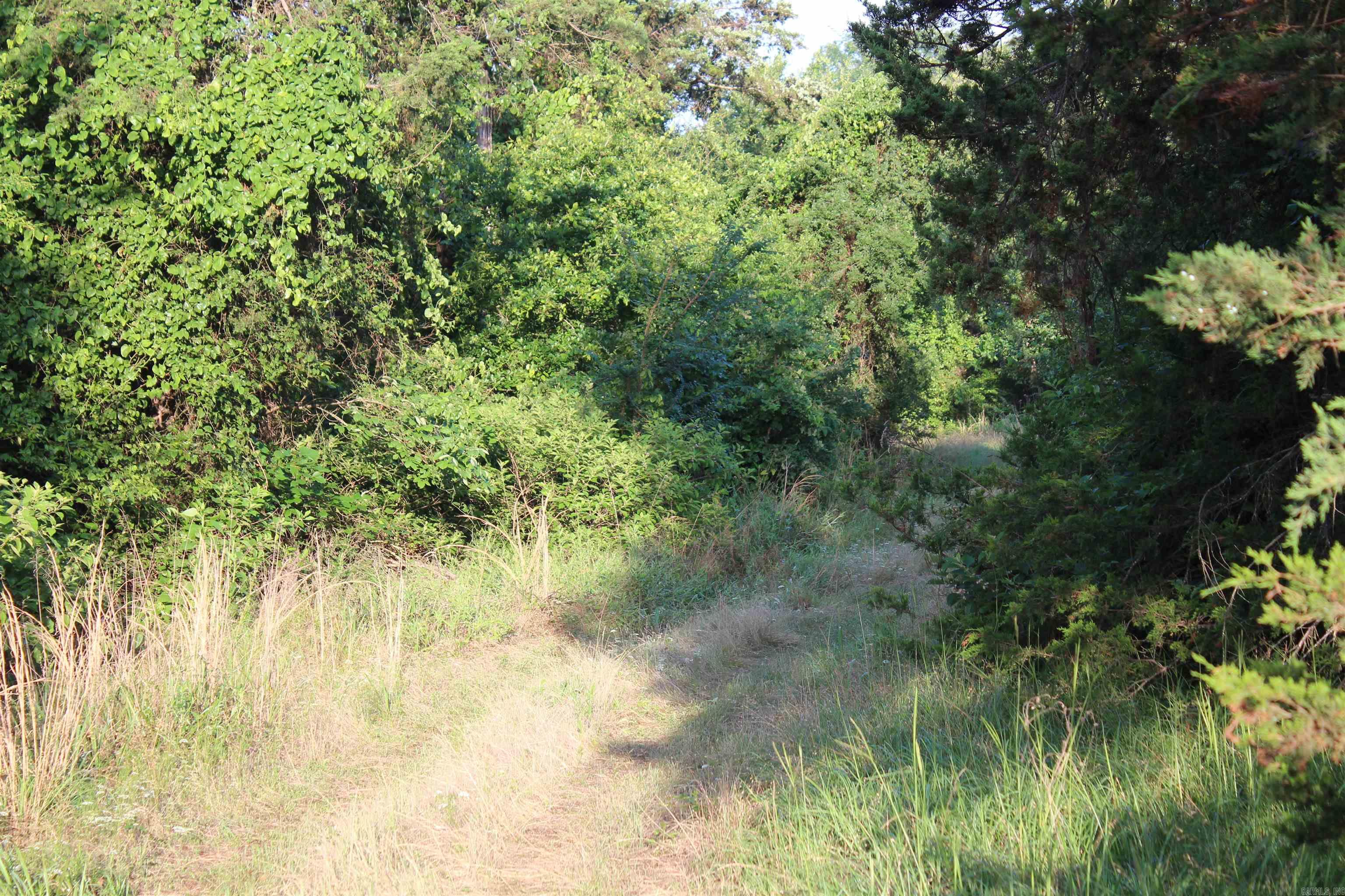 000 197 Property Photo 27