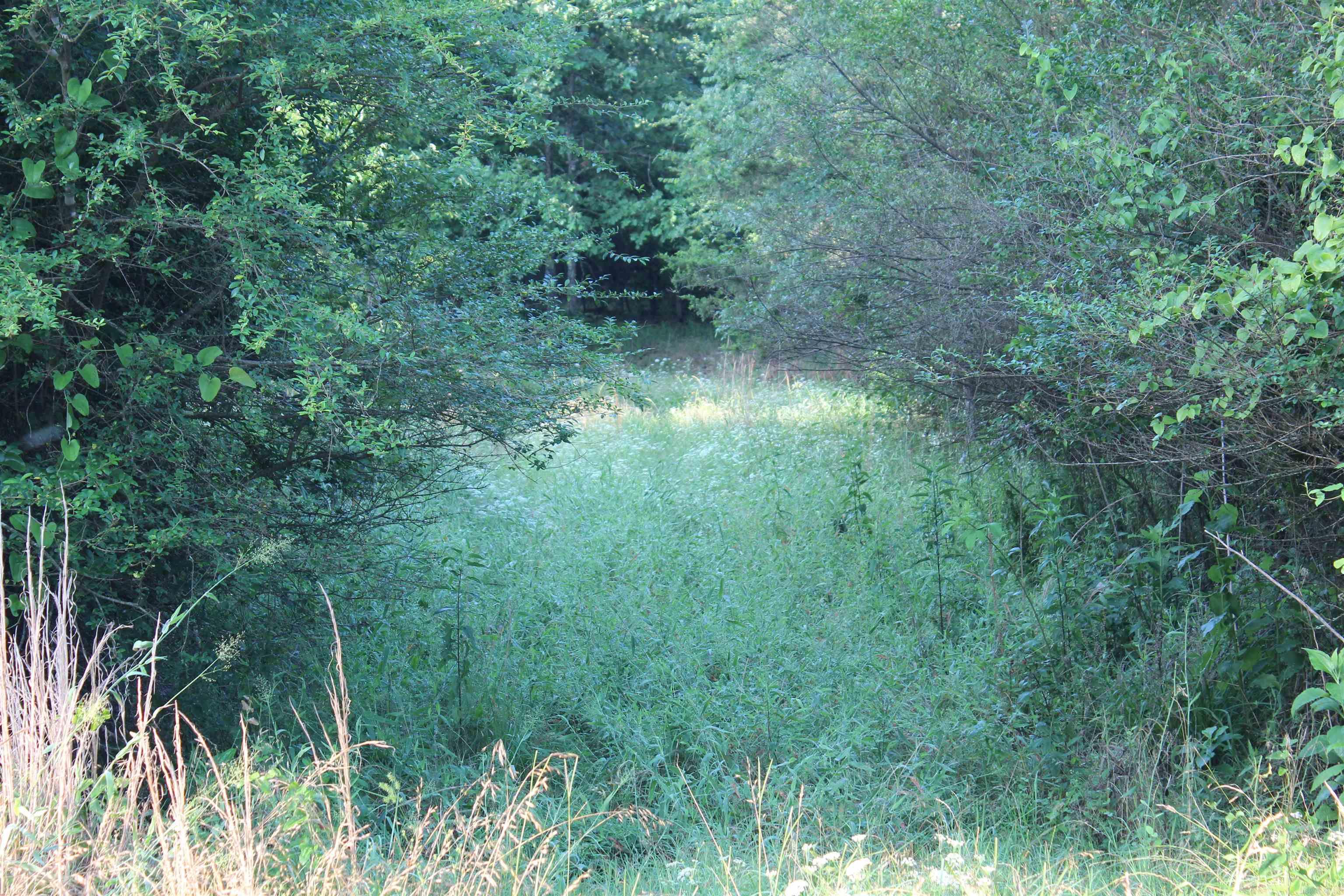 000 197 Property Photo 28