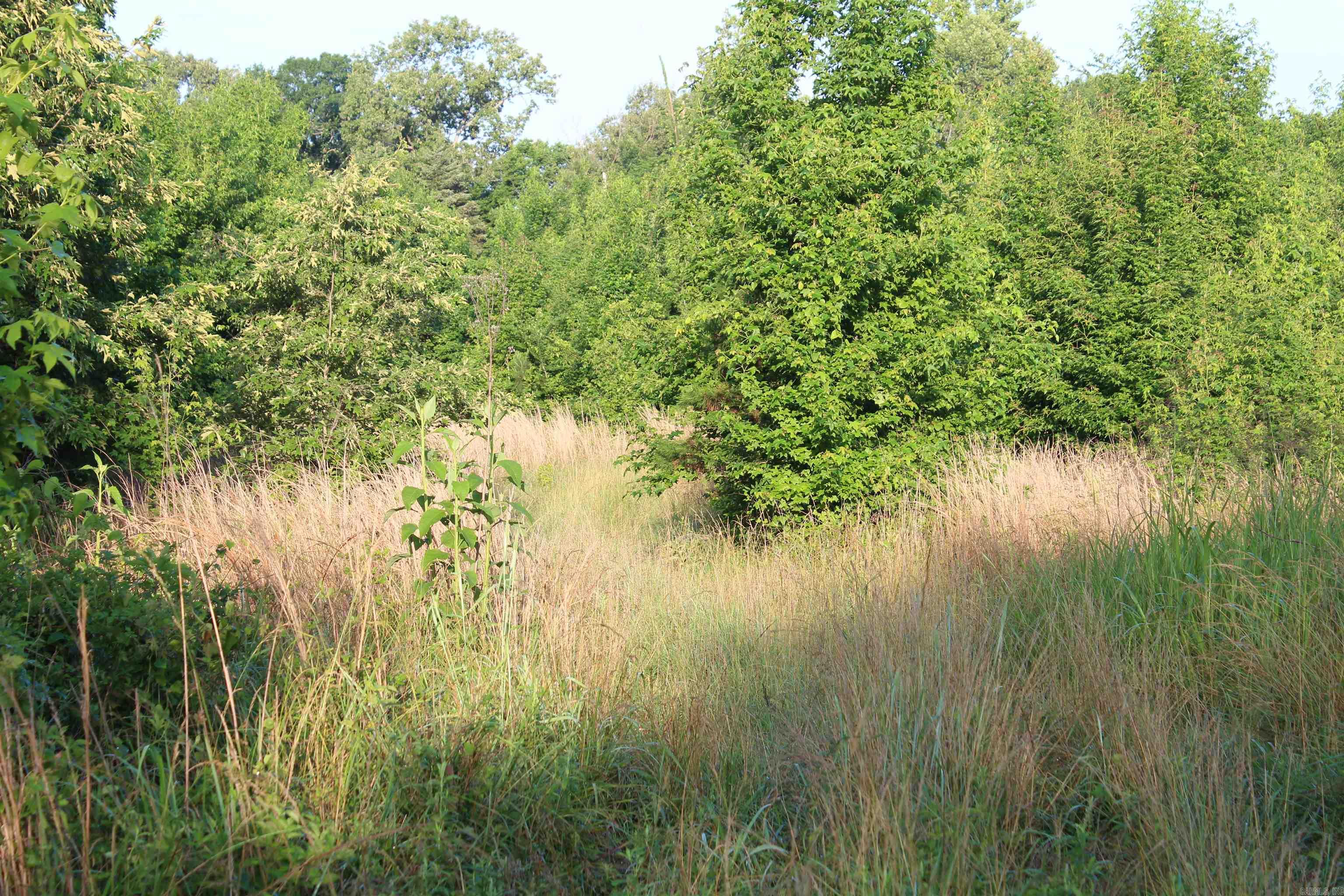 000 197 Property Photo 32