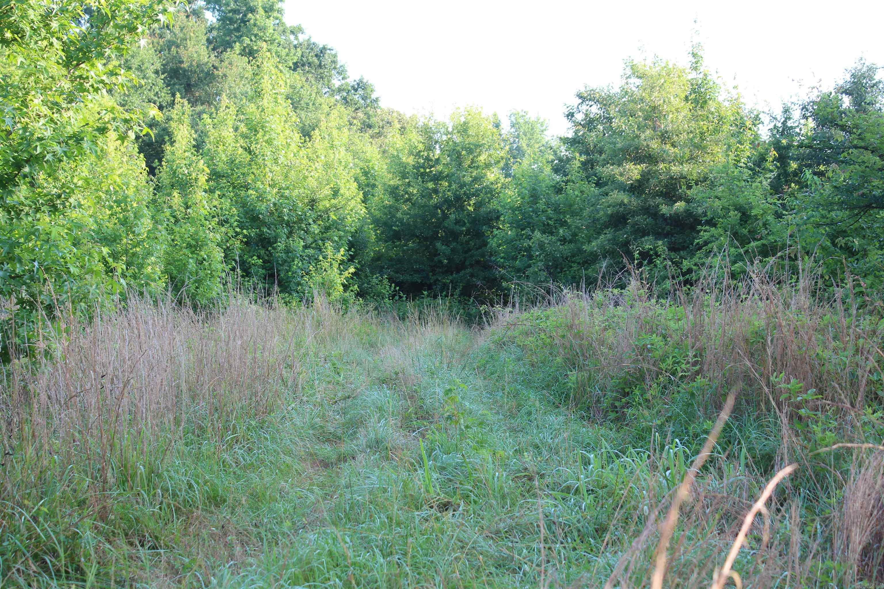 000 197 Property Photo 34