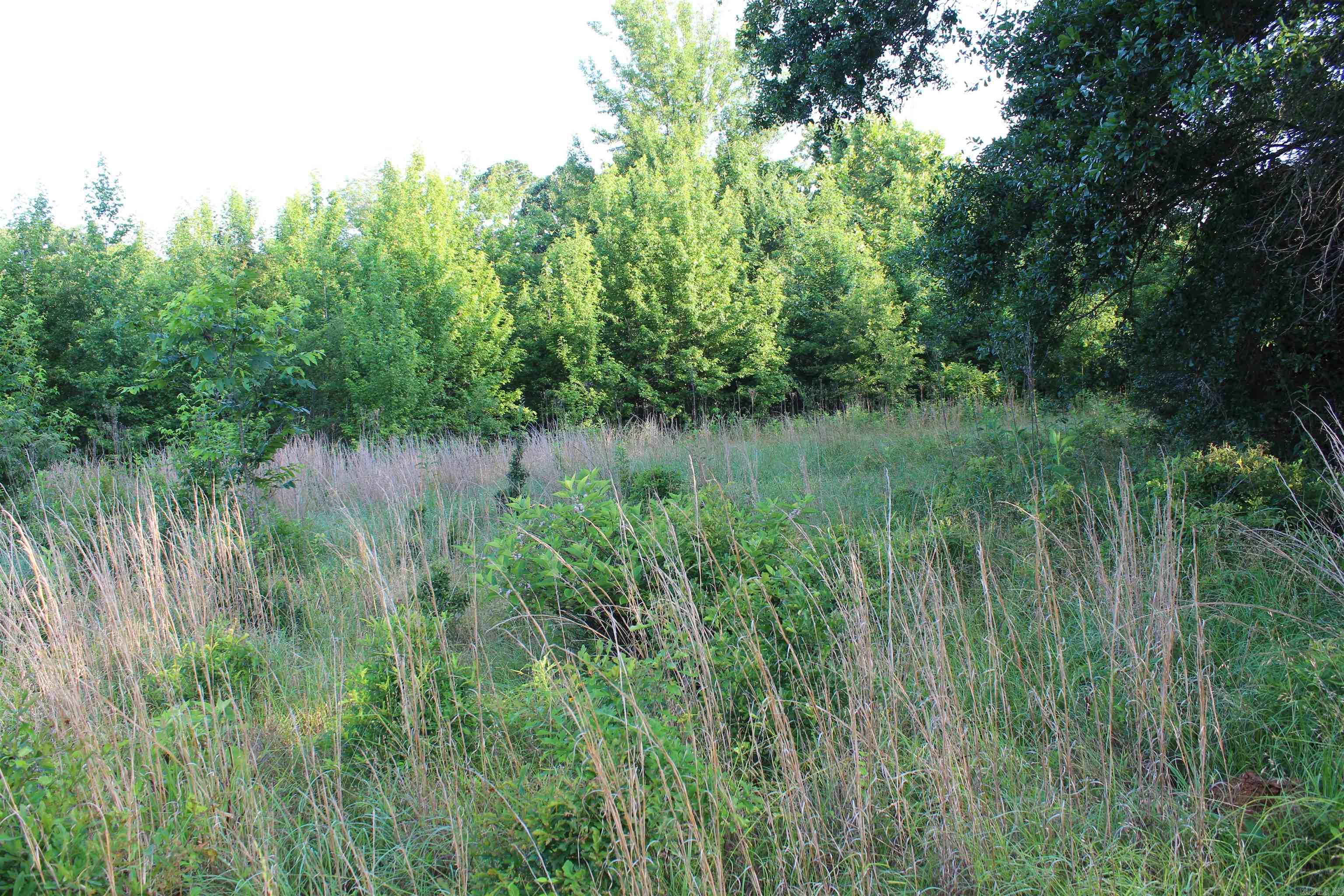 000 197 Property Photo 40