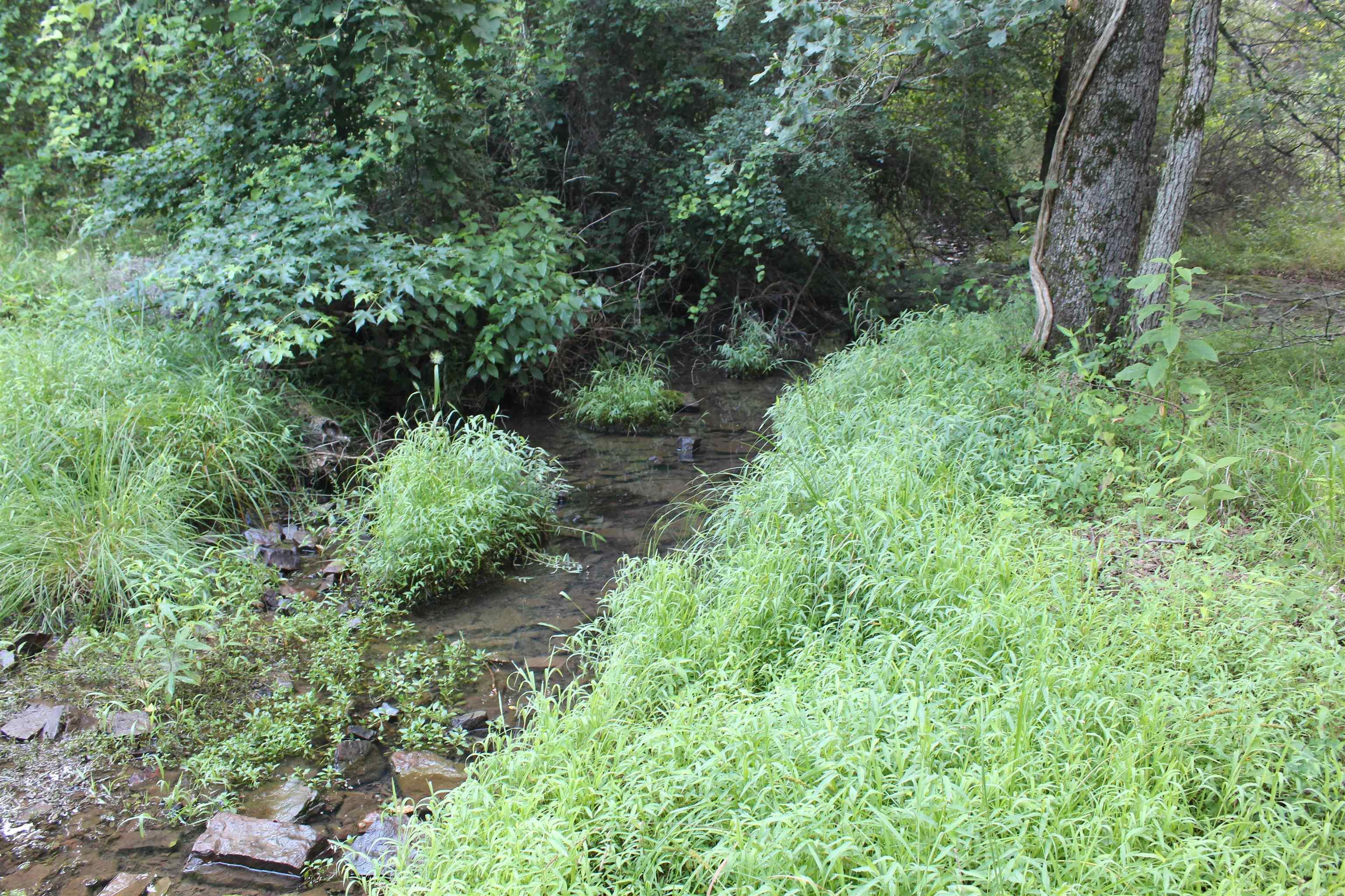 000 197 Property Photo 44