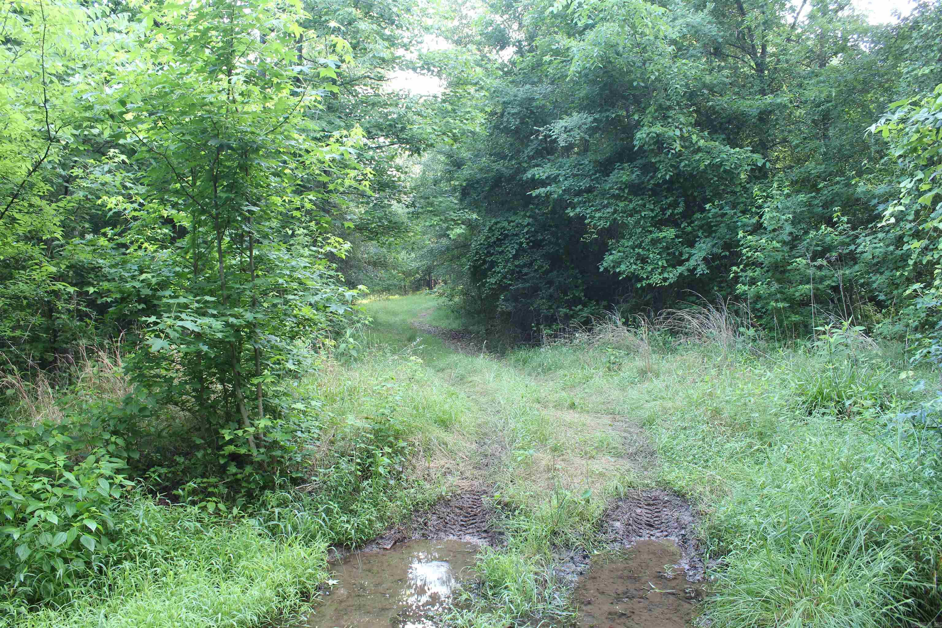 000 197 Property Photo 45