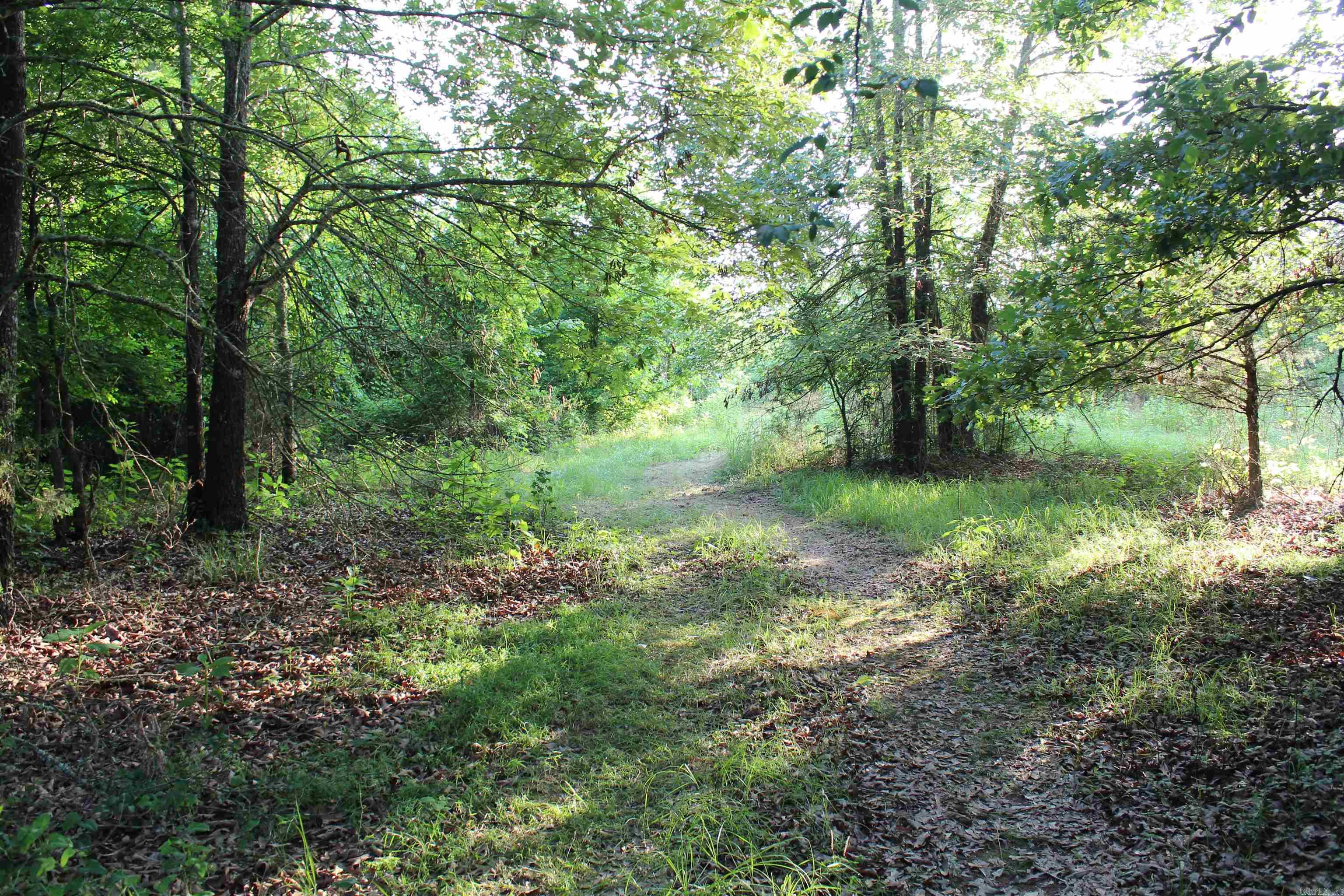 000 197 Property Photo 46