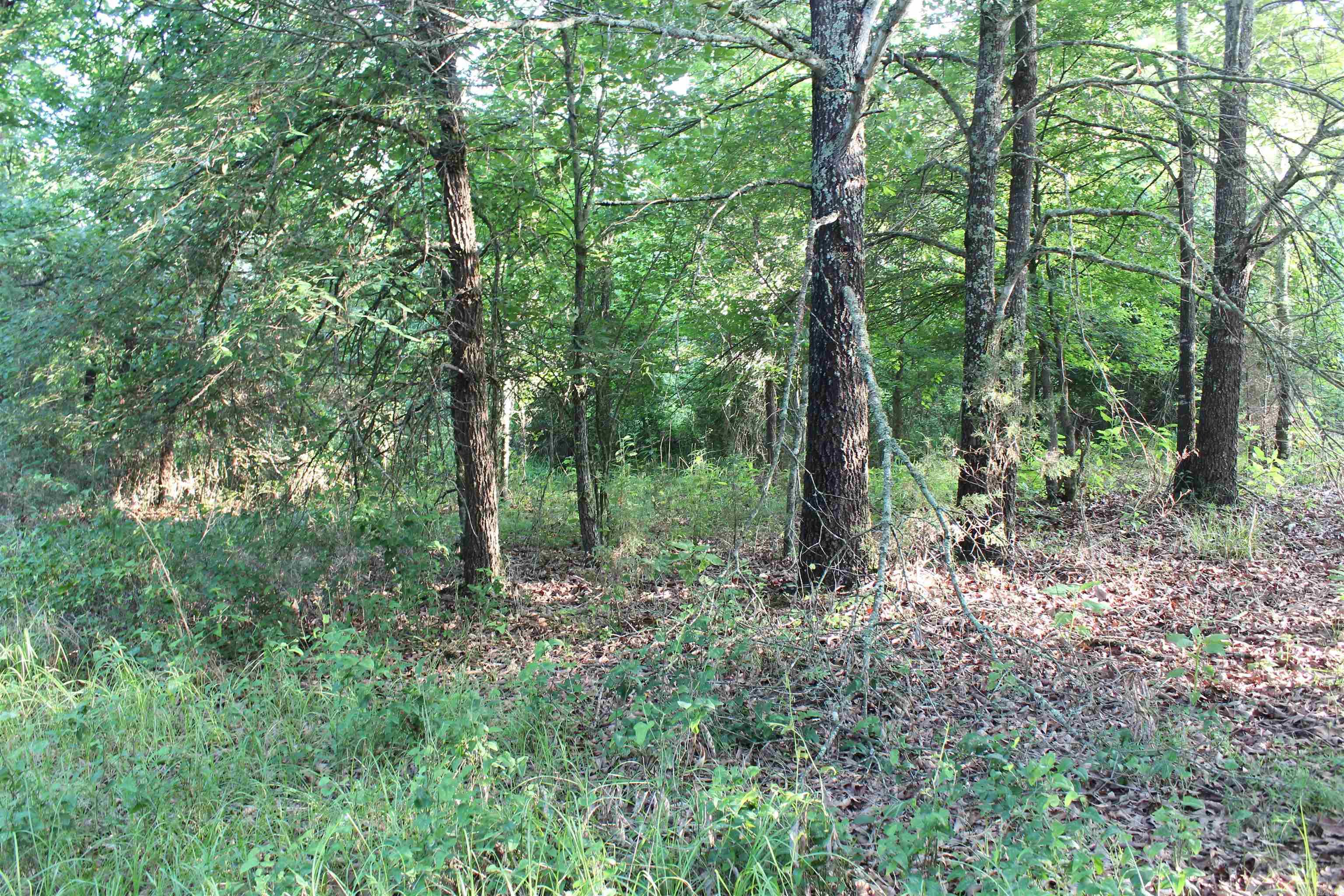 000 197 Property Photo 47
