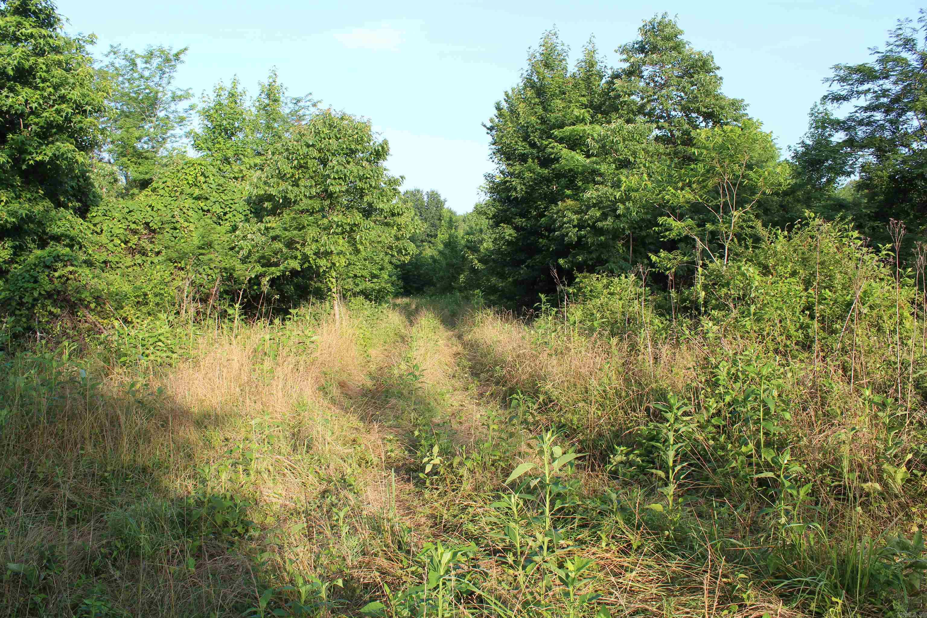 000 197 Property Photo 48
