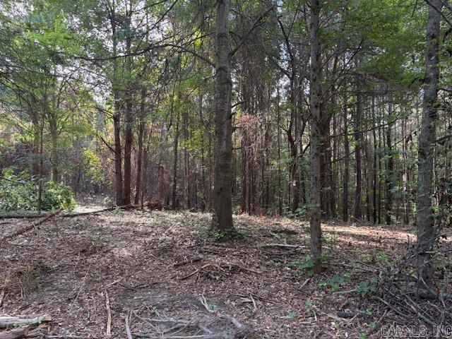000 N Sardis Road Property Photo 3