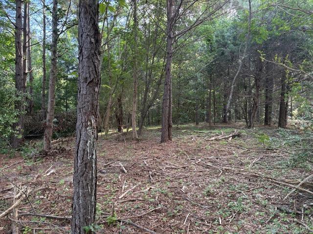 000 N Sardis Road Property Photo 4