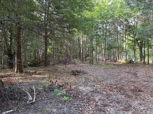 000 N Sardis Road Property Photo 5